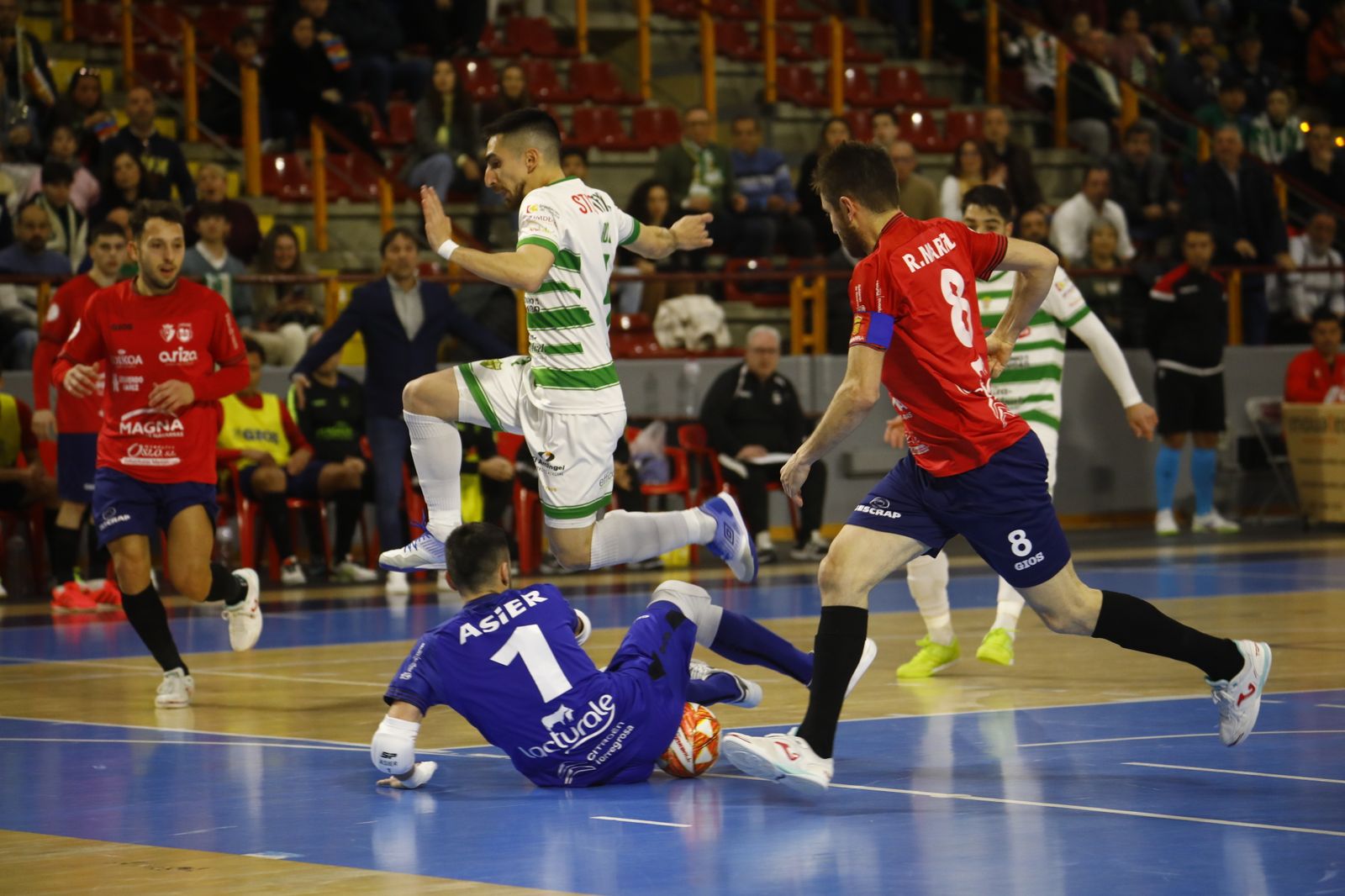 La victoria del Córdoba Futsal ante el Osasuna Magna, en imágenes