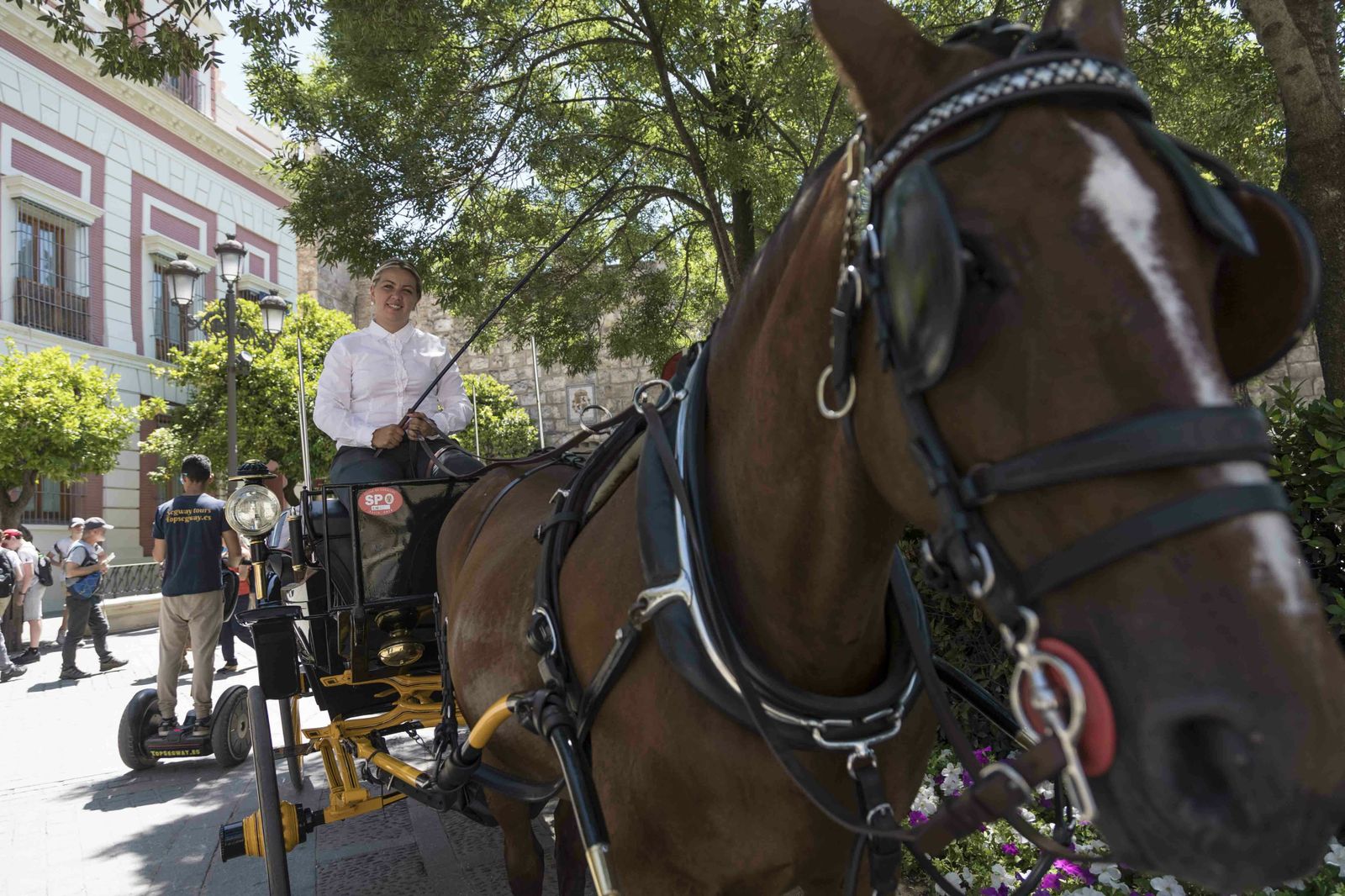 Lola López, con las riendas de la yegua 'Lola', en la parada de plaza del Triunfo.