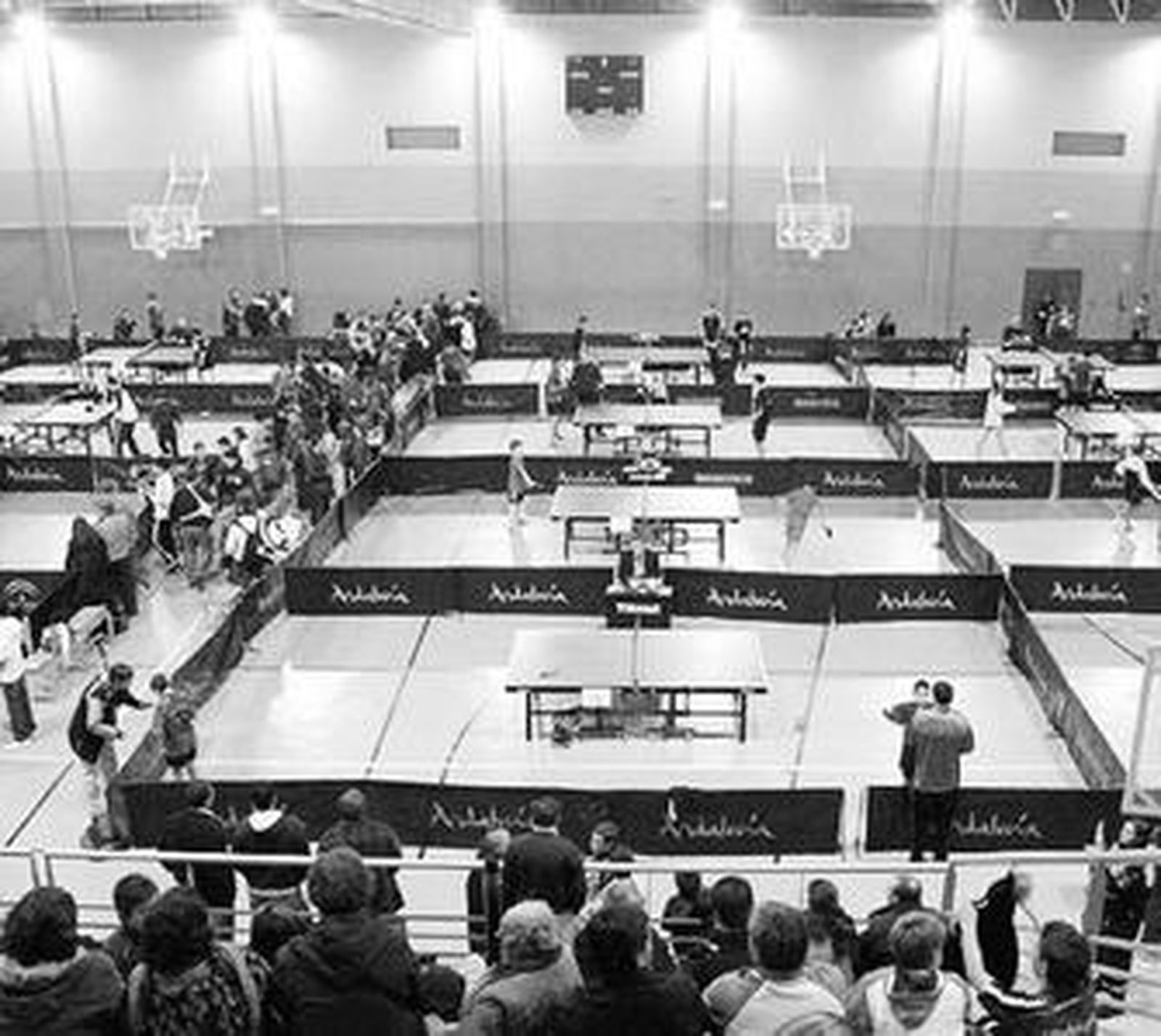 El pabellón estuvo ocupado por multitud de participantes.