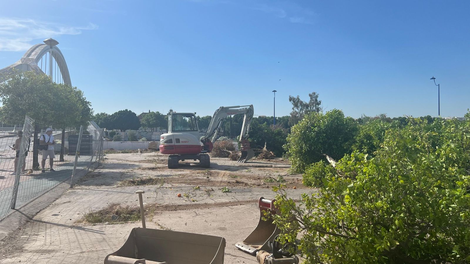 Vista del puente de la Barqueta junto al suelo donde se están retirando los naranjos