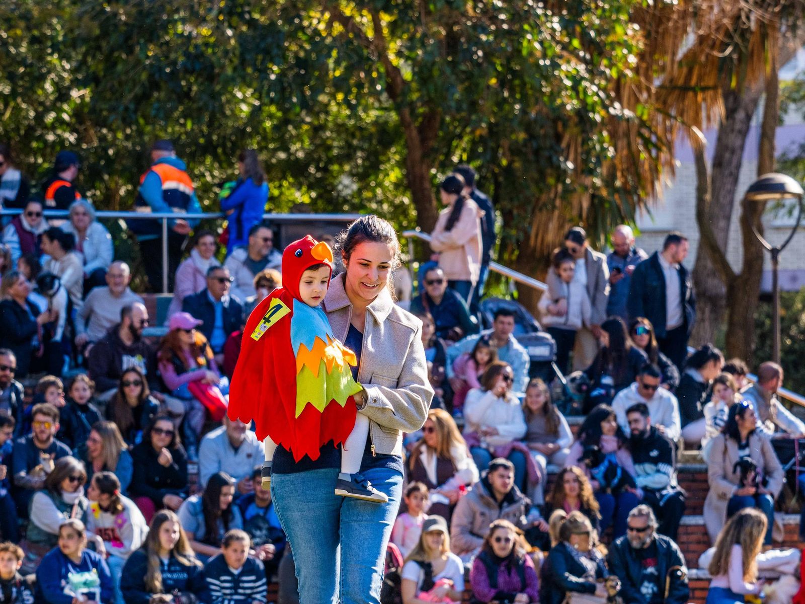 Las imágenes de San Antón 2025 en San Fernando