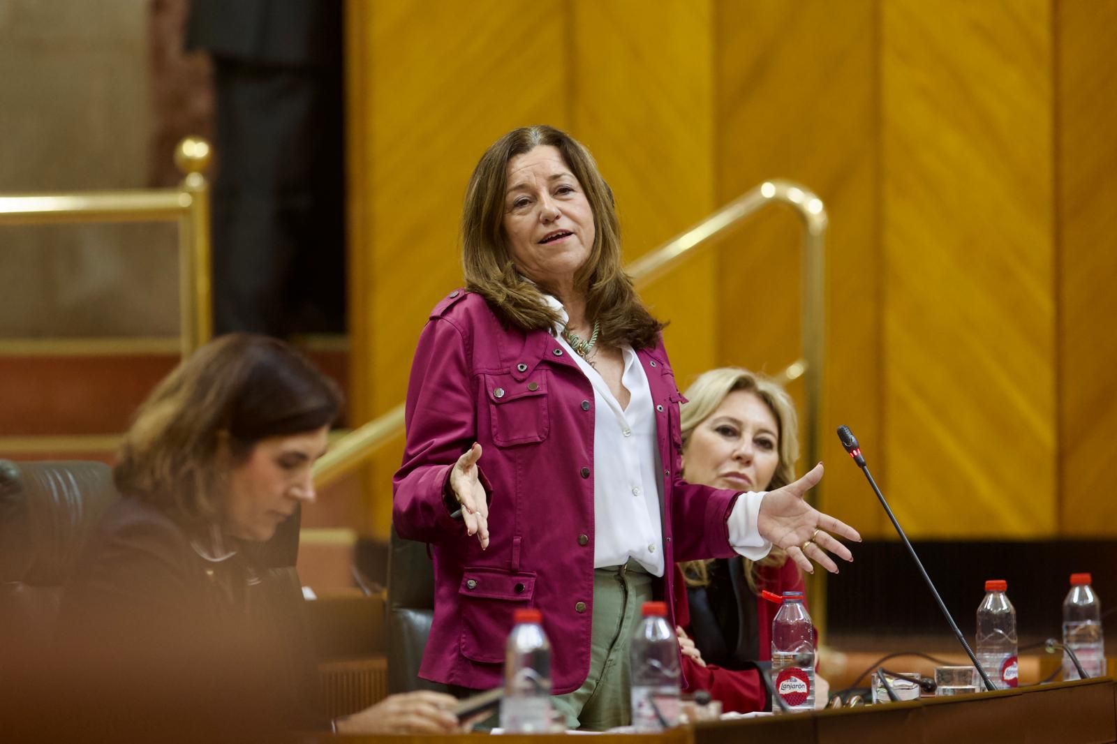 La consejera de Educación, María del Carmen Castillo, durante su intervención parlamentaria.