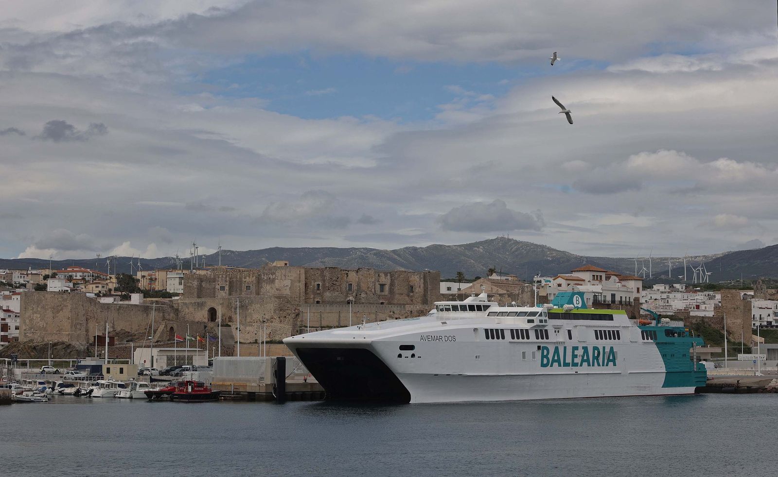 BALEARIA TARIFA ERASMO (692)