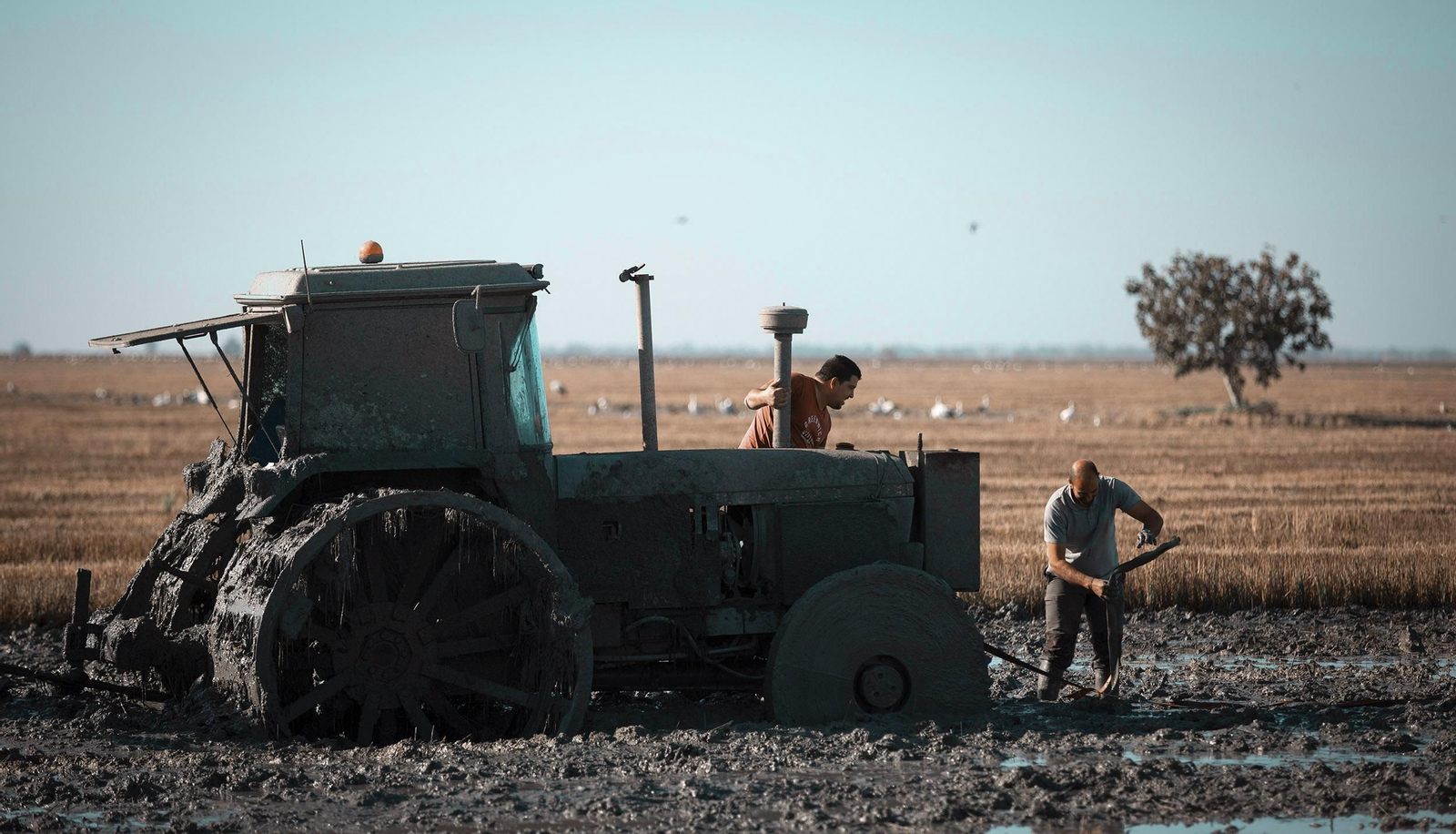 La ruta del arroz, en imágenes