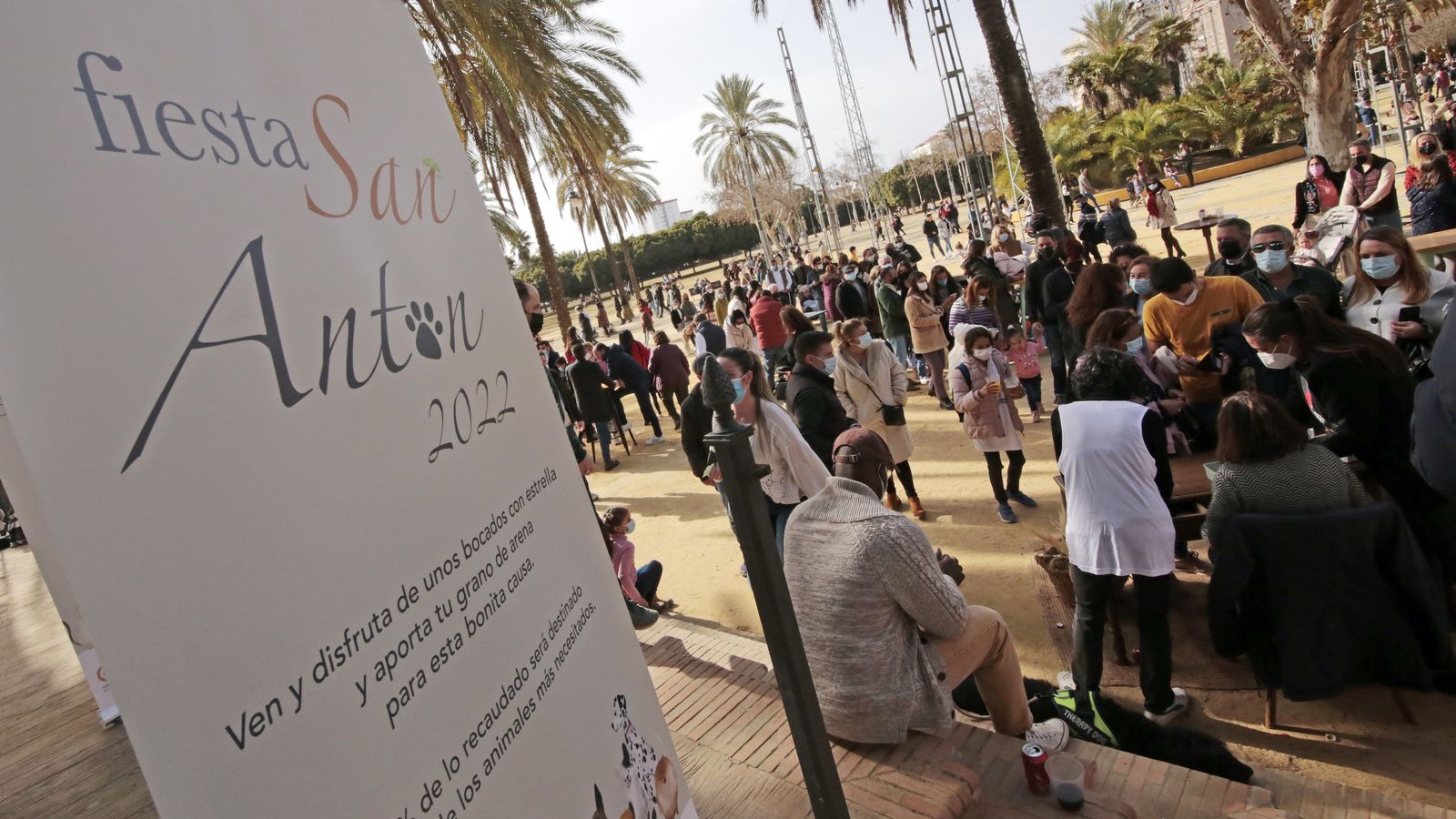 Imágenes de la 'Fiesta de San Antón 2022'
