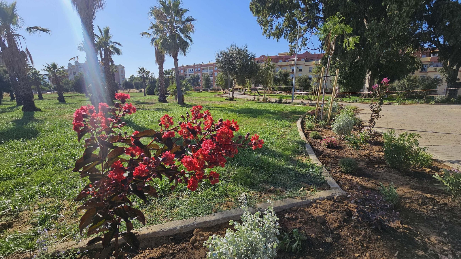 Fotos de los nuevos 12.000 metros cuadrados de zonas verdes de la Ermita, en Algeciras Fotos de los nuevos 12.000 metros cuadrados de zonas verdes de la Ermita, en Algeciras