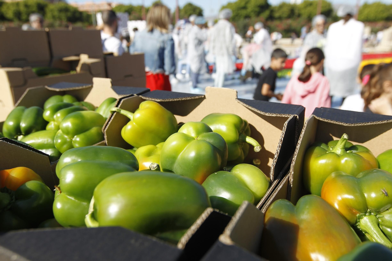 Fotogalería Récord Guinness Corazón Hortalizas Almería