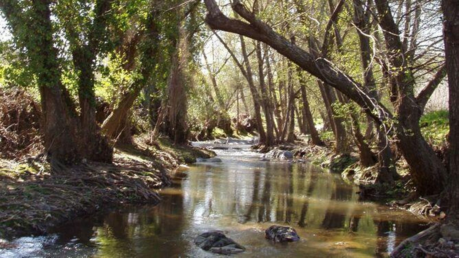 El río Múrtiga, identidad viva de La Nava