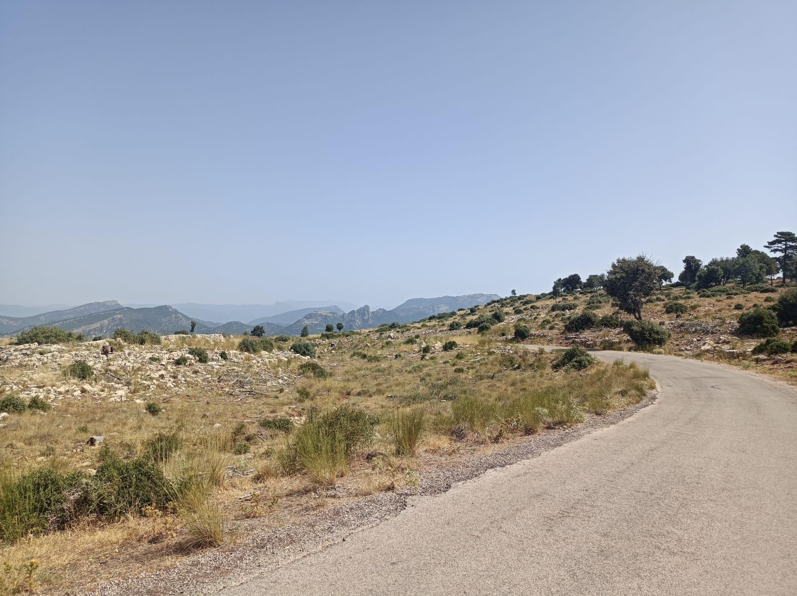 Así se regenera Segura de la Sierra tras el incendio forestal de 2017 Así se regenera Segura de la Sierra tras el incendio forestal de 2017