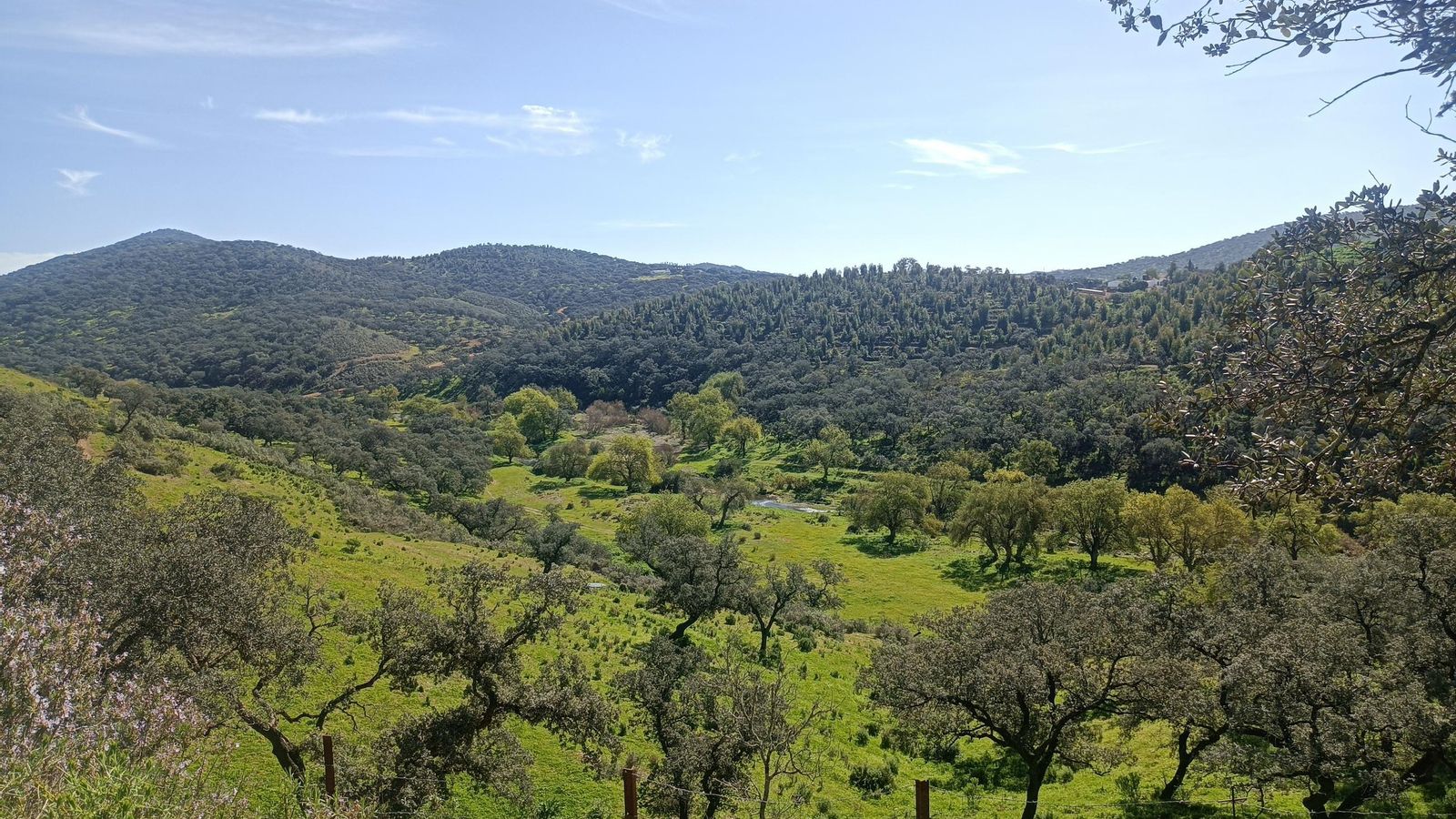 Vistas de la Vega del Odiel en primavera.