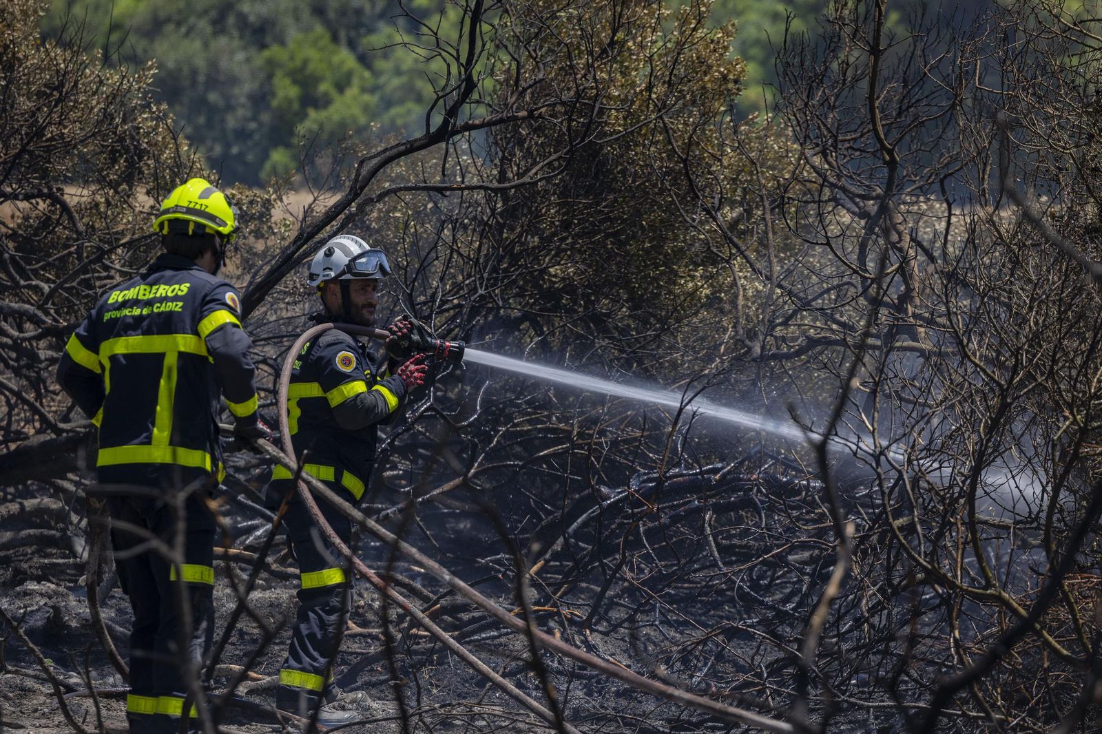 Las imágenes del incendio declarado junto a Roche, en Conil
