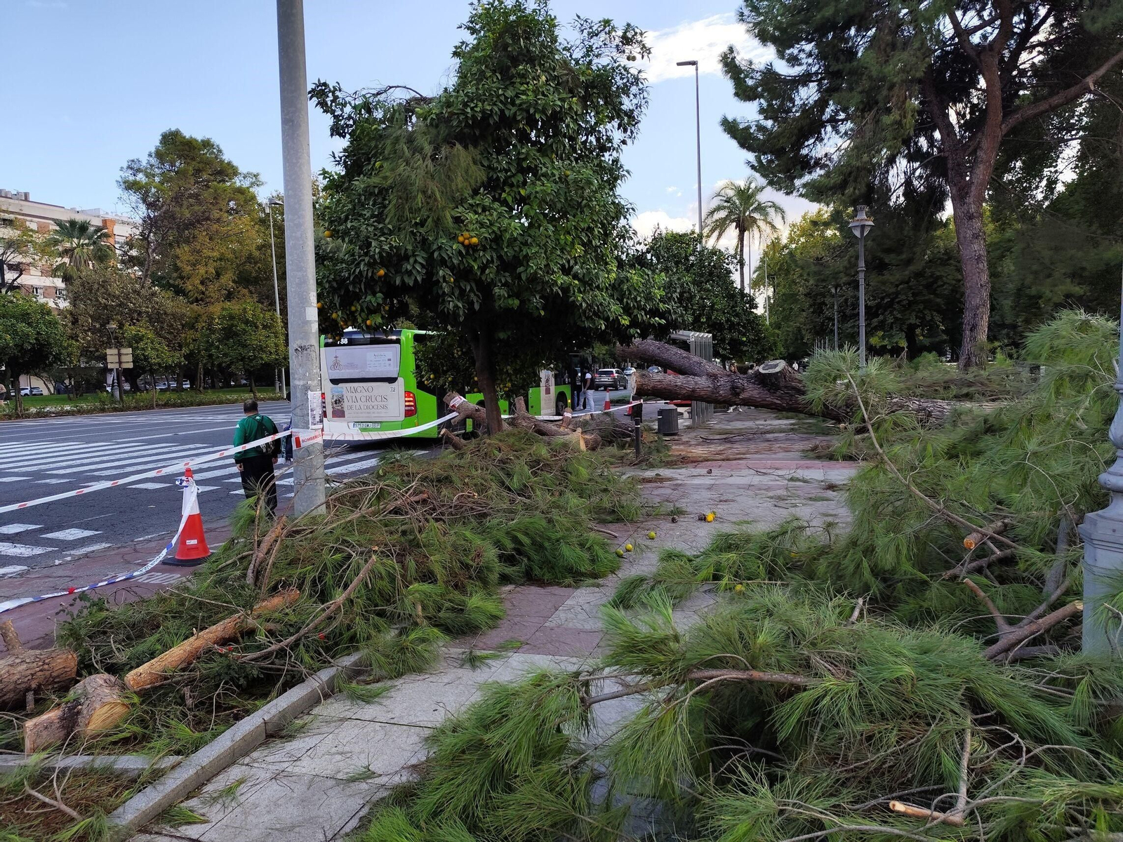 El rastro que deja la borrasca Claudia en Córdoba: anegaciones, árboles caídos y destrozos