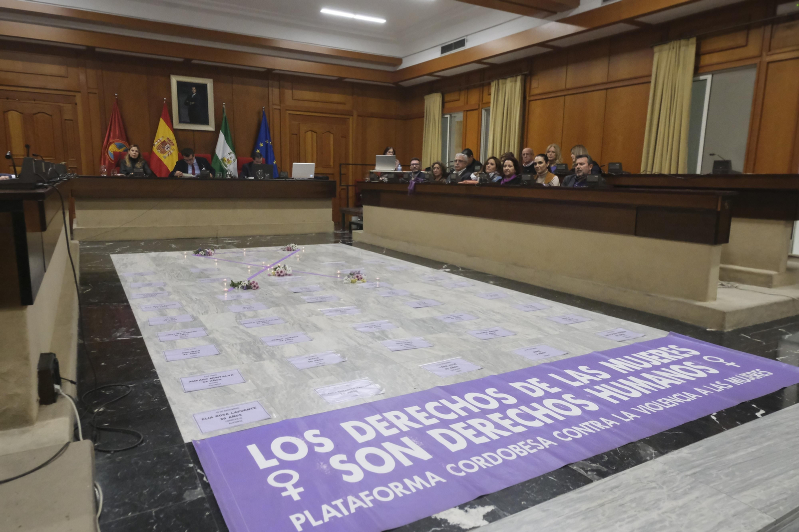 El Pleno del Ayuntamiento de Córdoba contra la violencia a las mujeres, en imágenes
