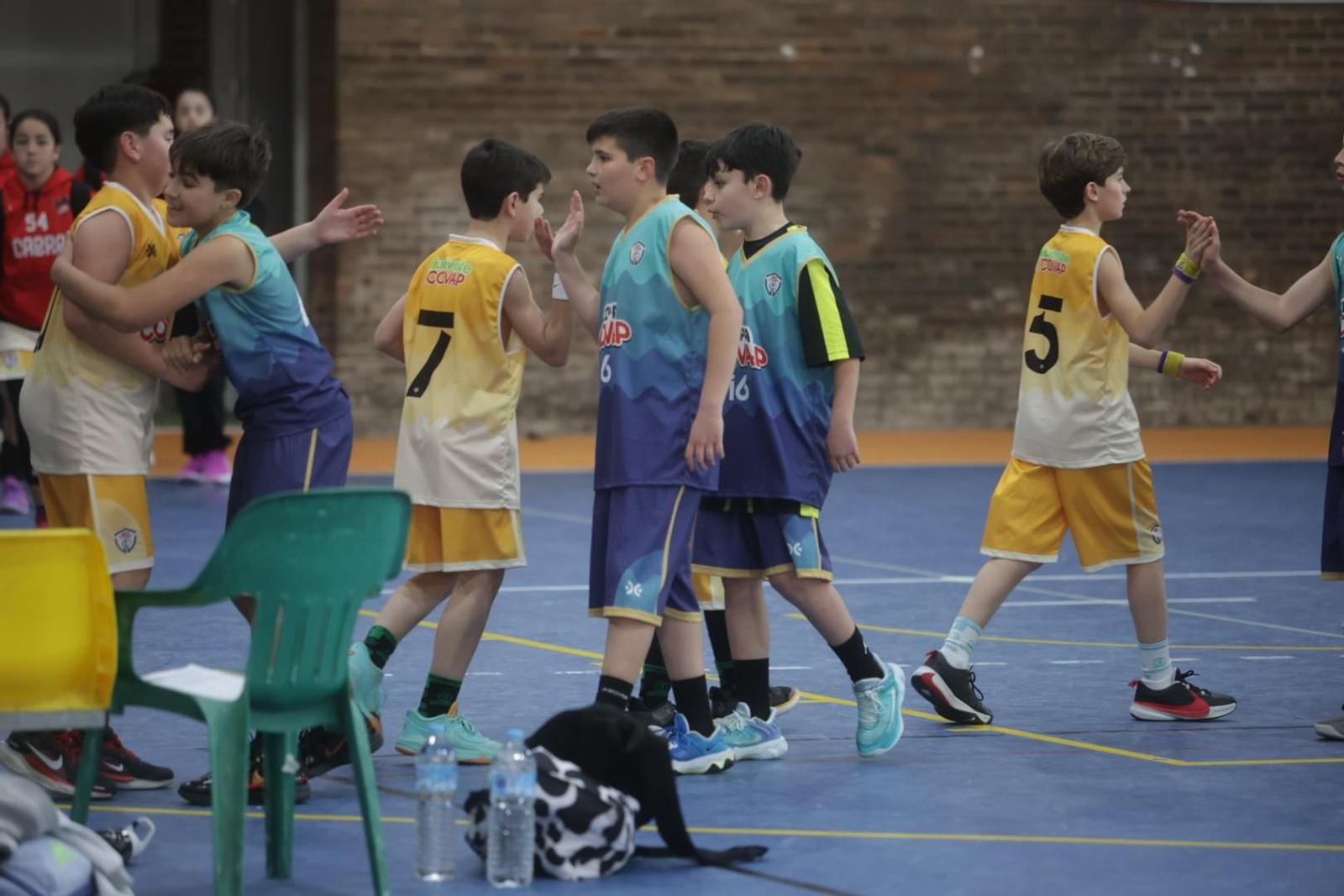 Las mejores imágenes de la celebración de la Copa Covap en Palma del Río