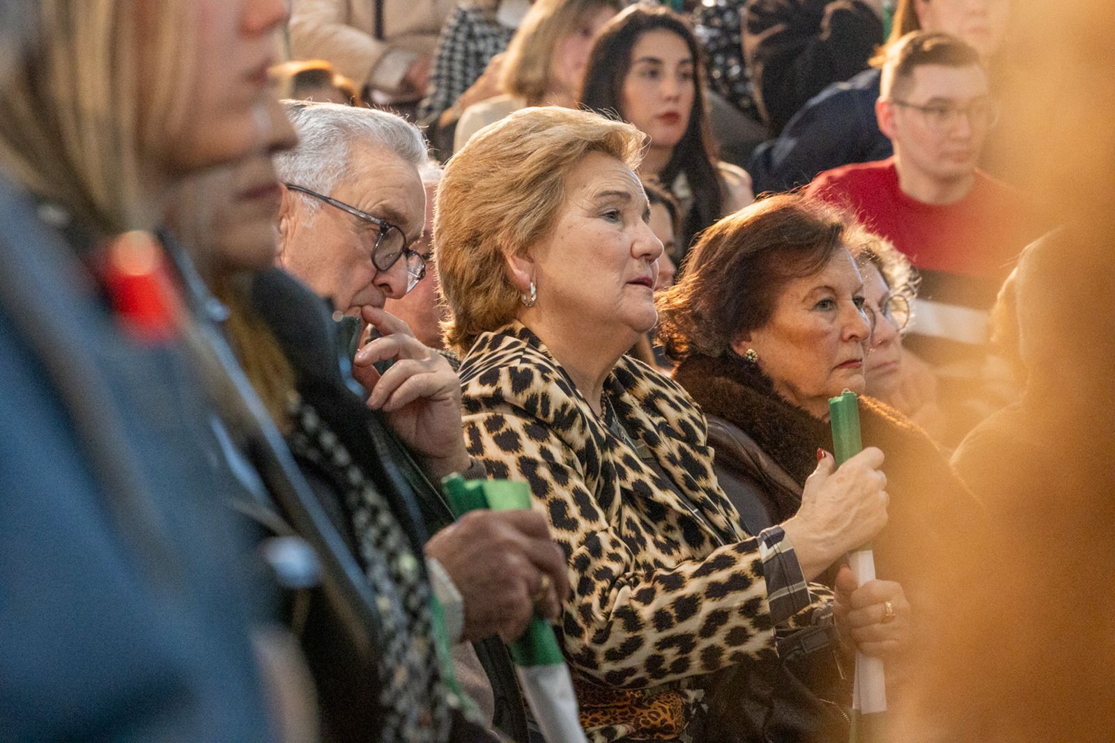 Acto en defensa de los servicios públicos para celebrar el 28F en Jaén