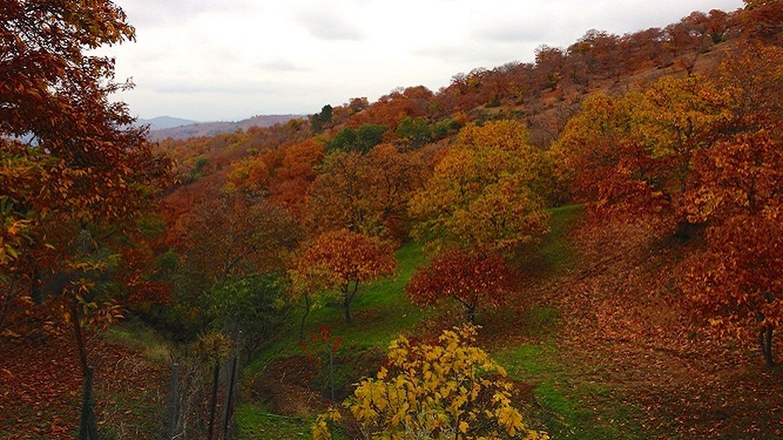 El Valle del Genal, destino imprescindible en otoño
