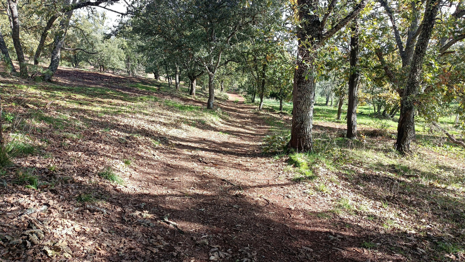 La sombra es abundante en casi todo el trazado.