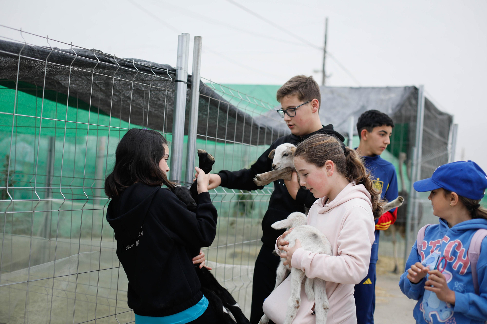 Galería de la Feria  de ganado en Tarambana