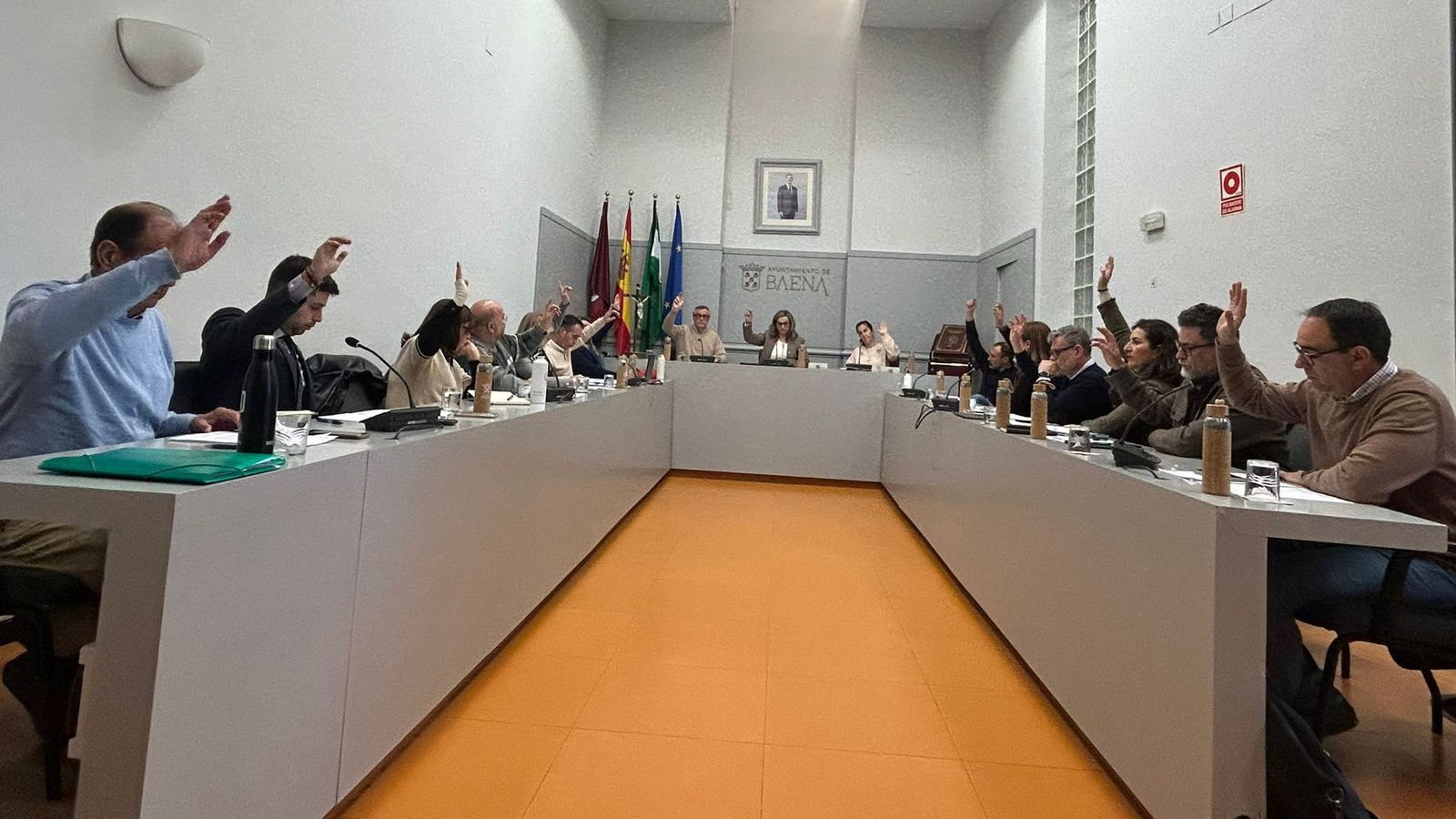 Un momento de la sesión plenaria de Baena.