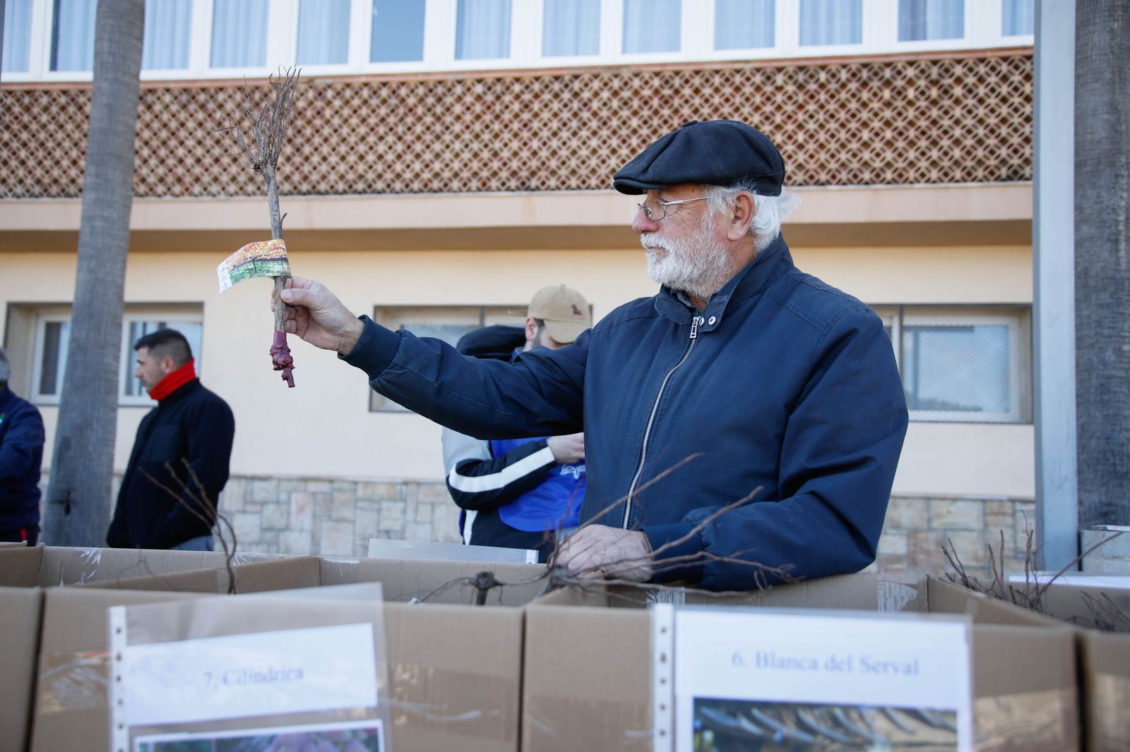 Imágenes del reparto de Parras en Alhama de Almería