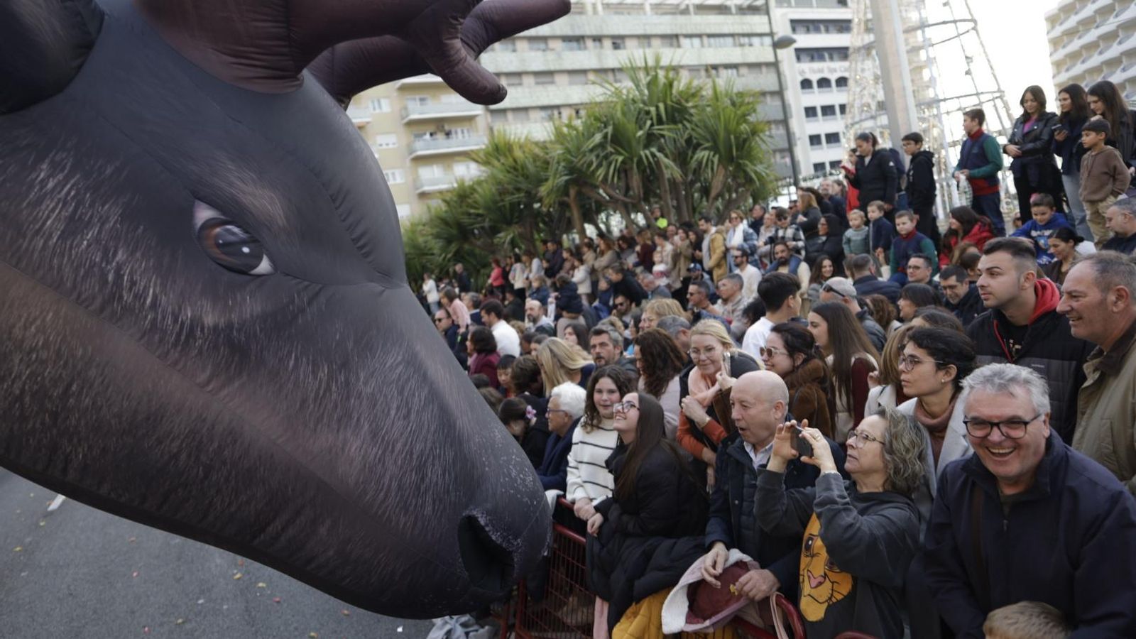 Todas las imágenes de SS.MM. los Reyes Magos en Cádiz: Visitas, cabalgata, horarios y recorrido