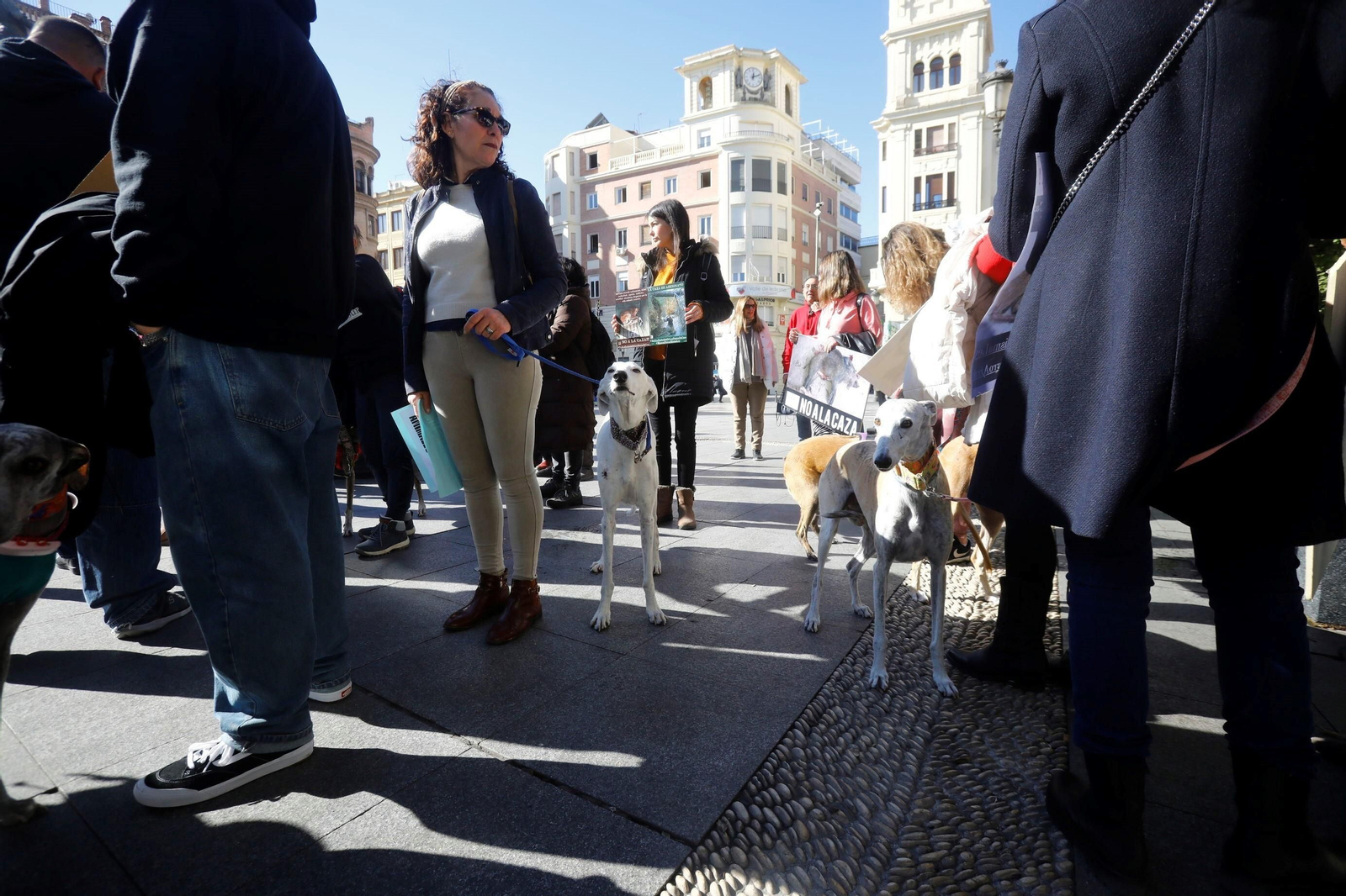 La protesta contra la caza en Córdoba, en imágenes