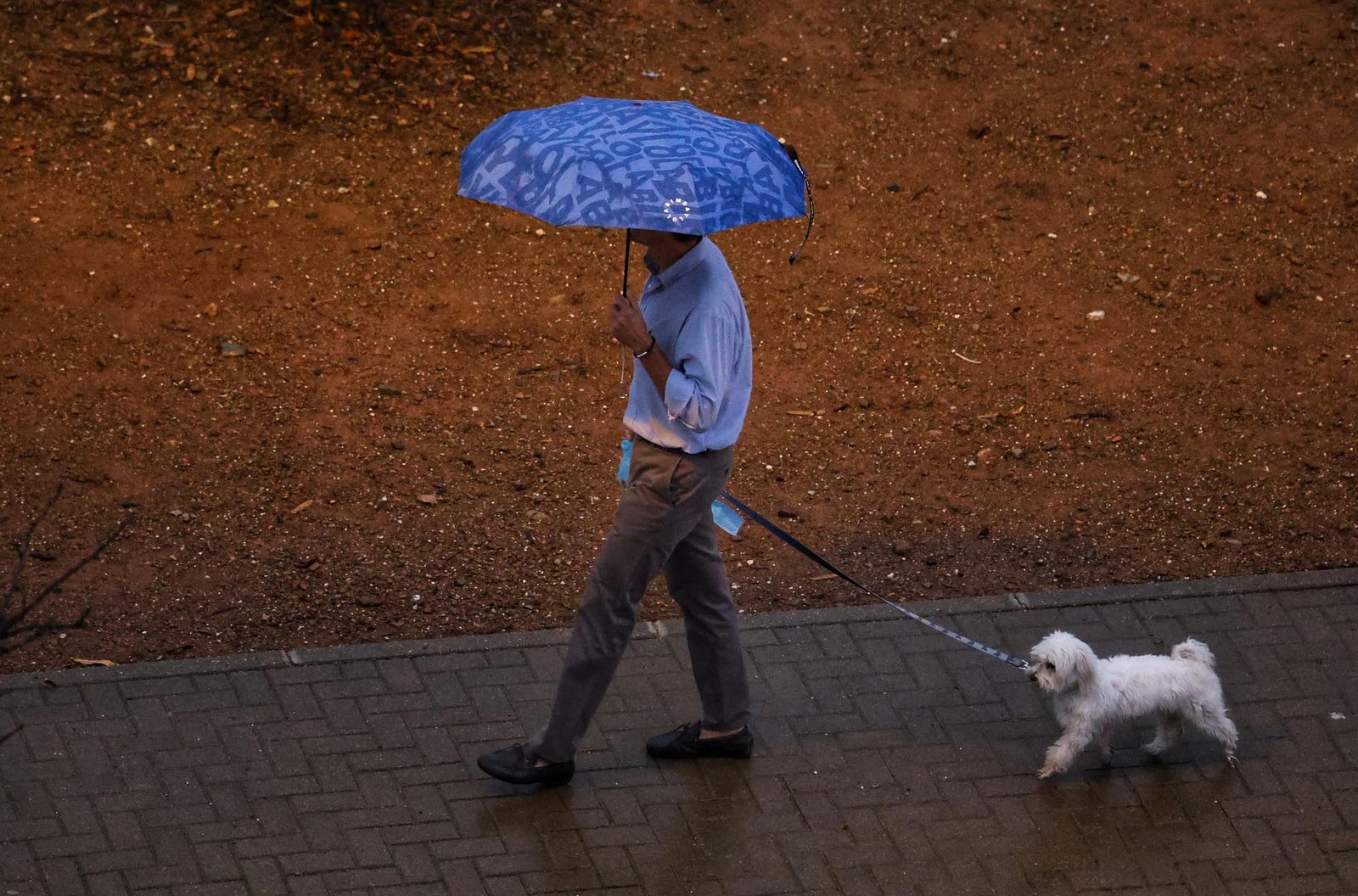 Un hombre pasea bajo la lluvia en Málaga, junto a su perro.