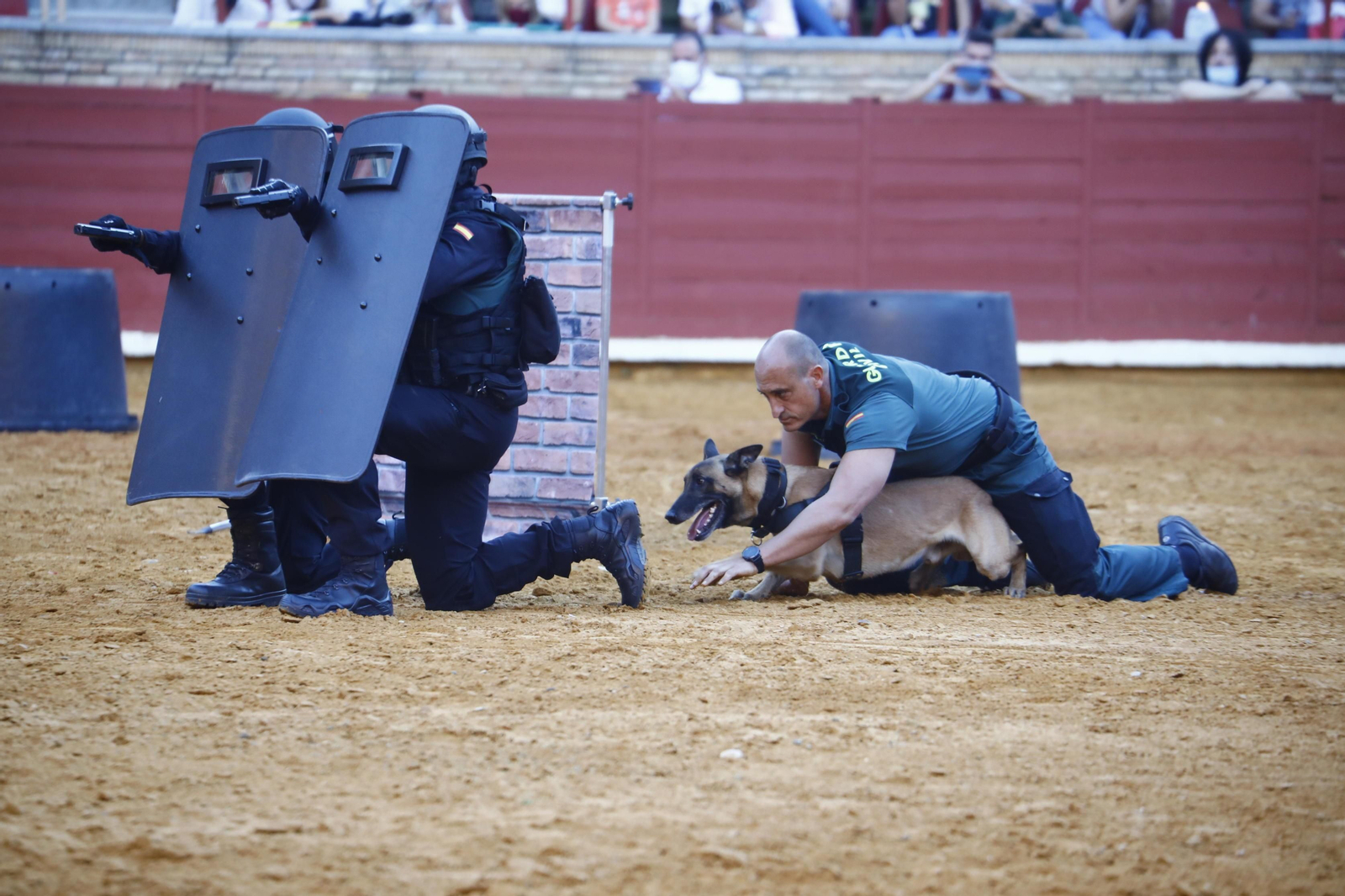 La impresionante exhibición de la Guardia Civil en la plaza de toros de Córdoba, en fotografías