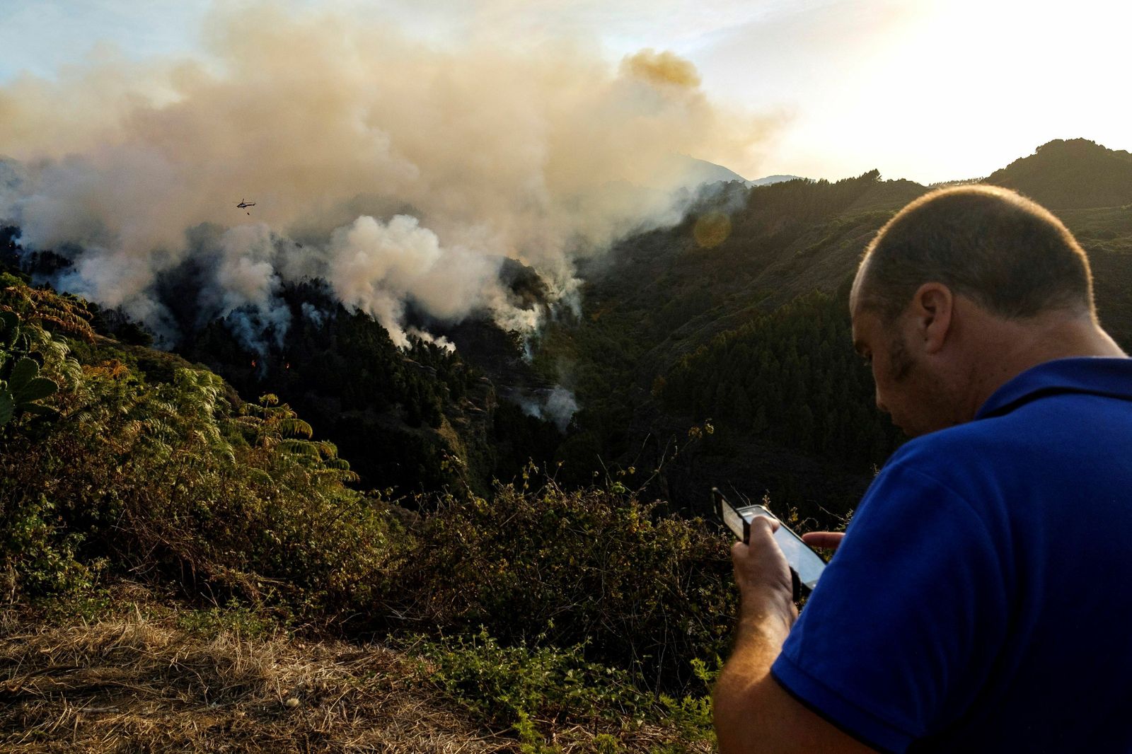 Las imágenes del incendio forestal en Gran Canaria.