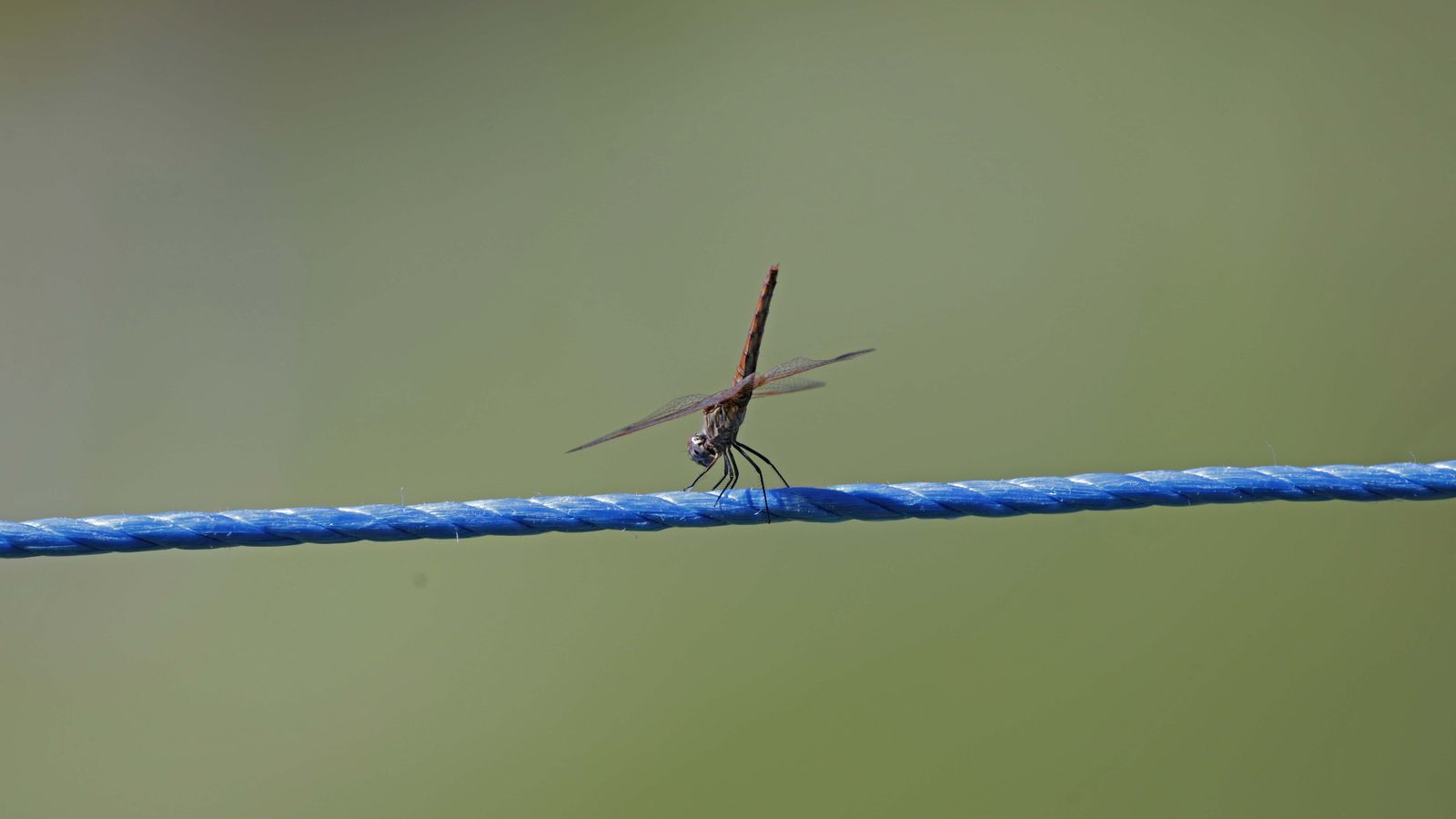 Fotos de la primera jornada del Aramco Team Series en Sotogrande