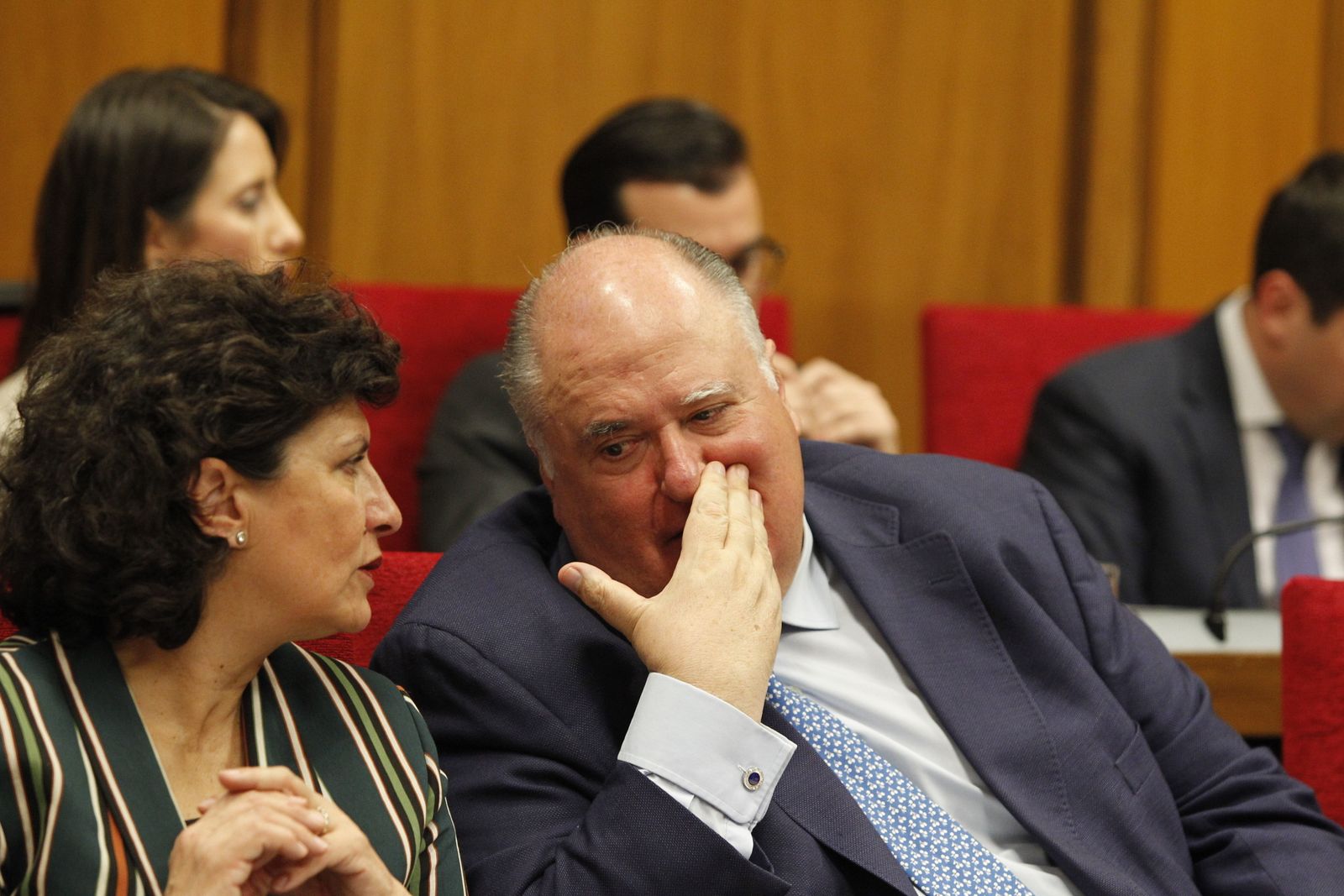 Fotogalería Pleno Ordinario Diputación de Almería