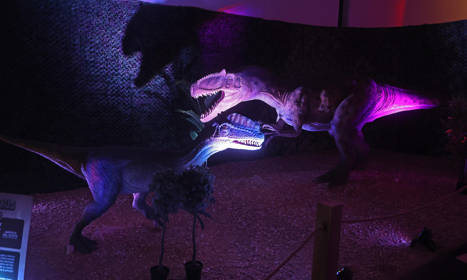 Exposición DINOSAURS LIVE