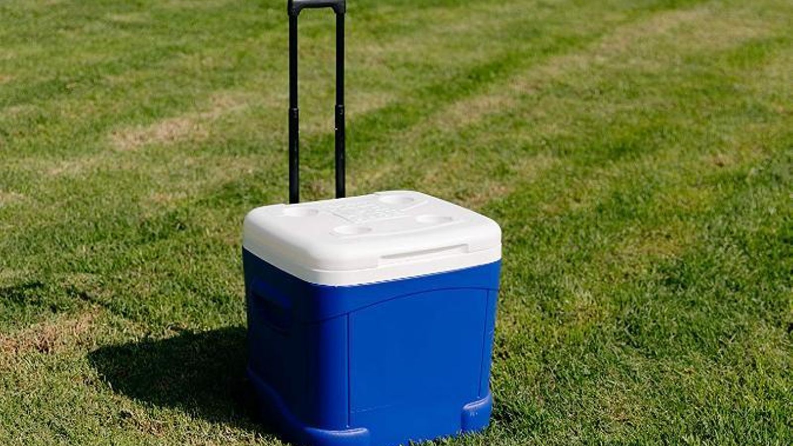 Nevera clásica mejorada