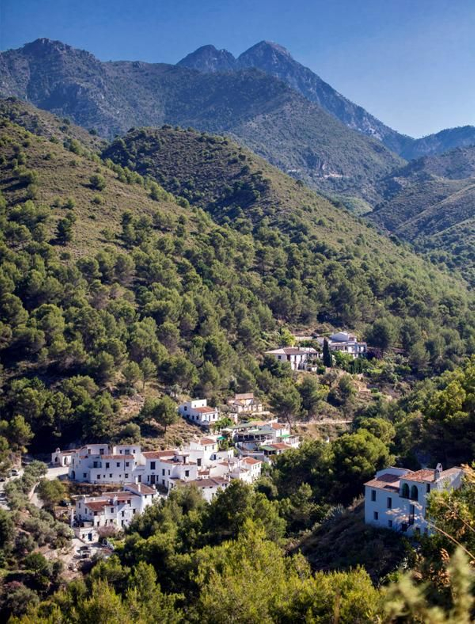 Panorámica de El Acebuchal