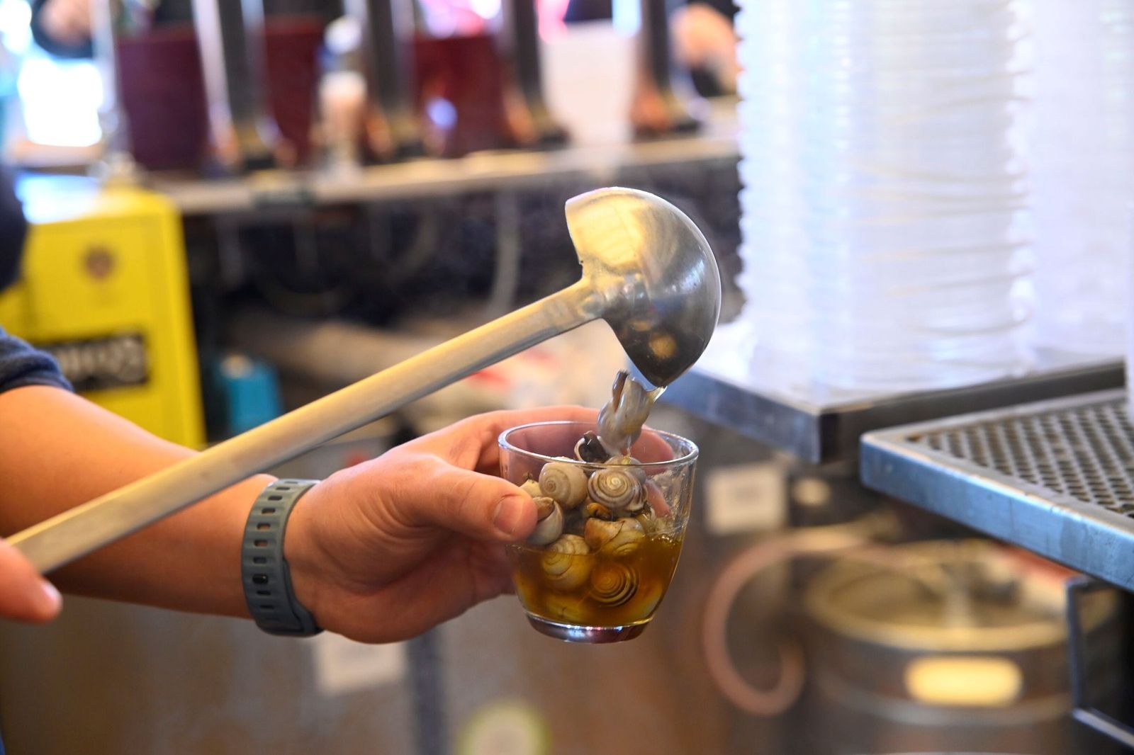 El arranque de la temporada de caracoles en Córdoba, en imágenes