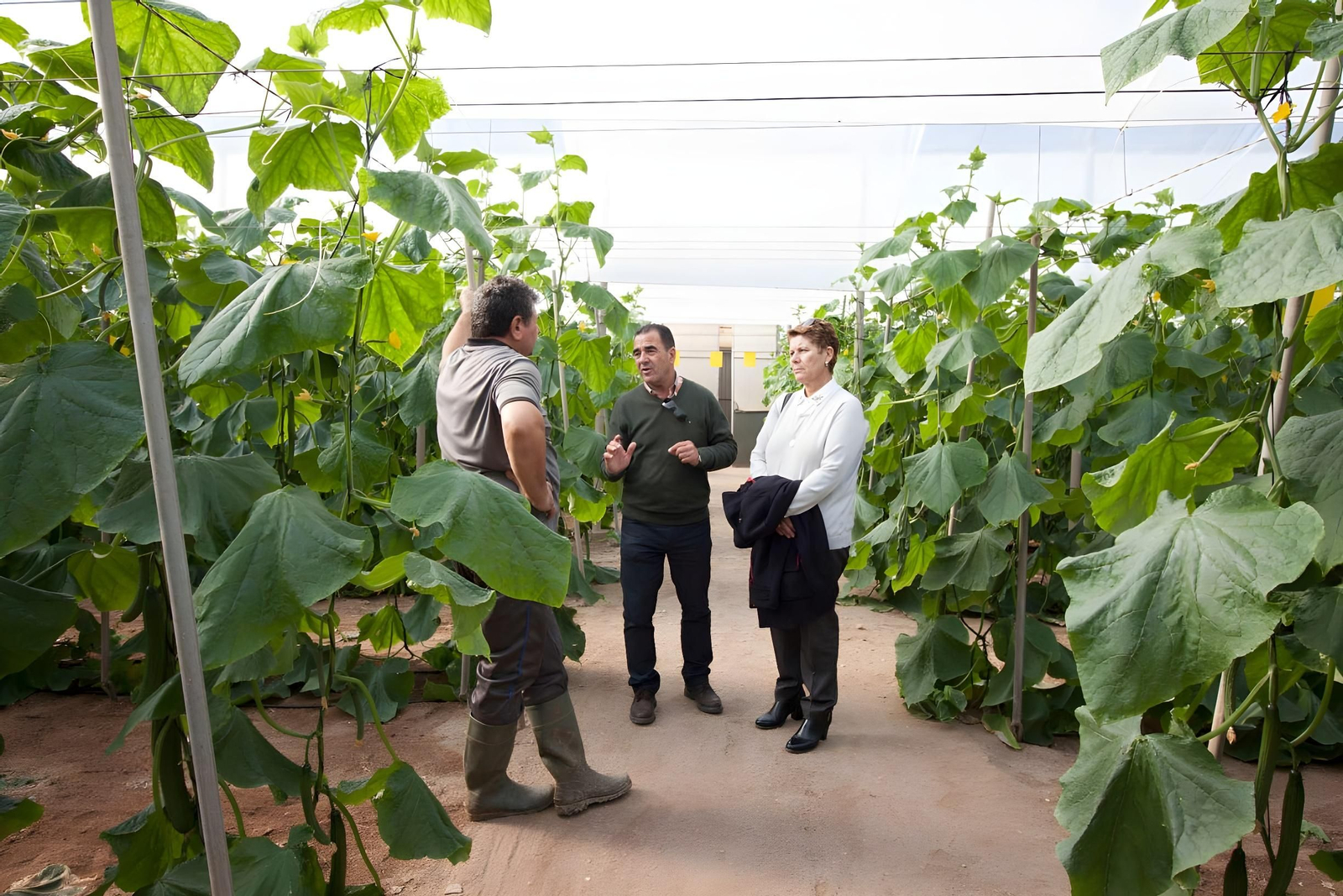 El alcalde de La Mojonera visita uno de los invernaderos del municipio.