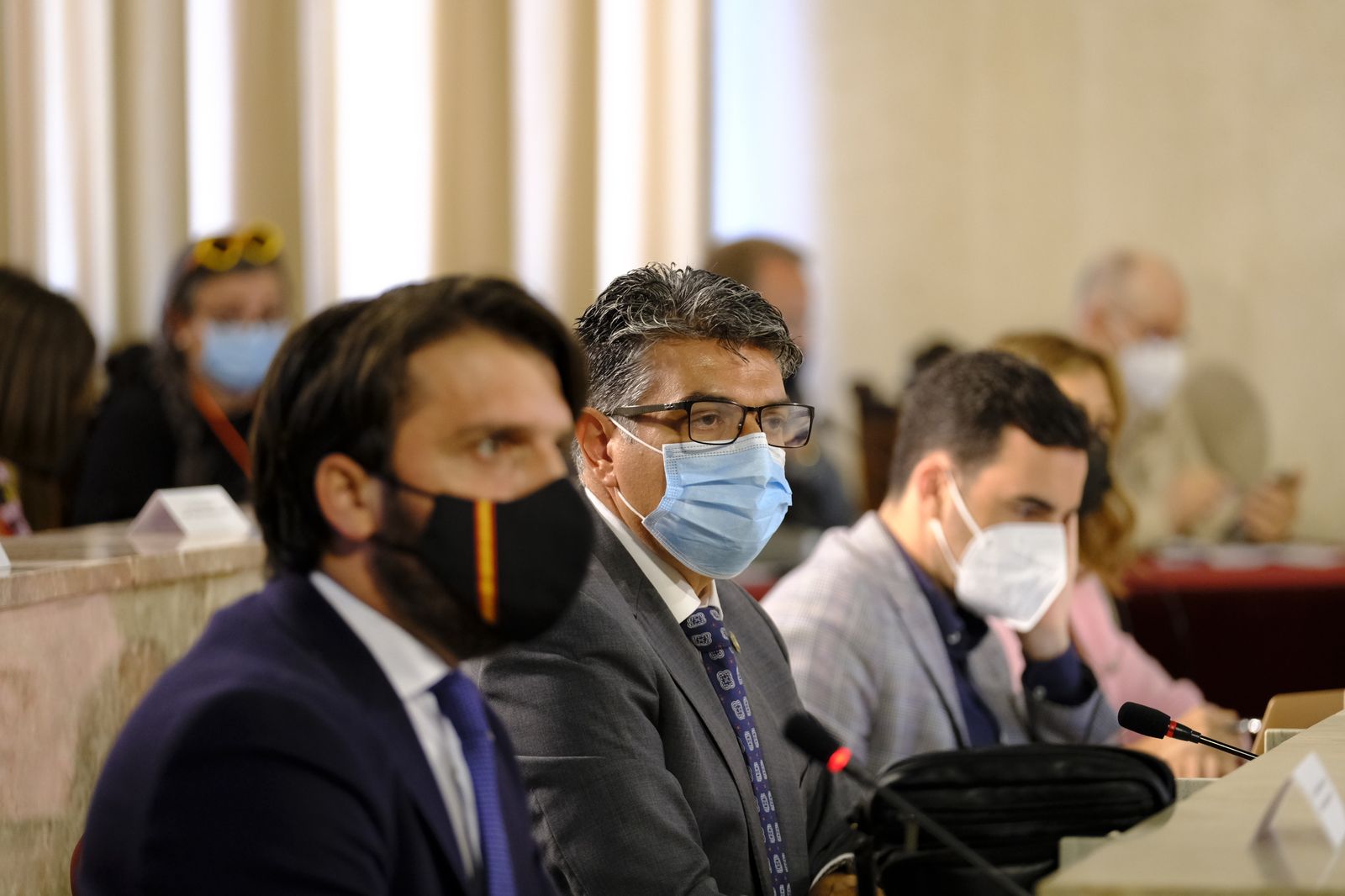 Fotogalería pleno ordinario del Ayuntamiento de Almería