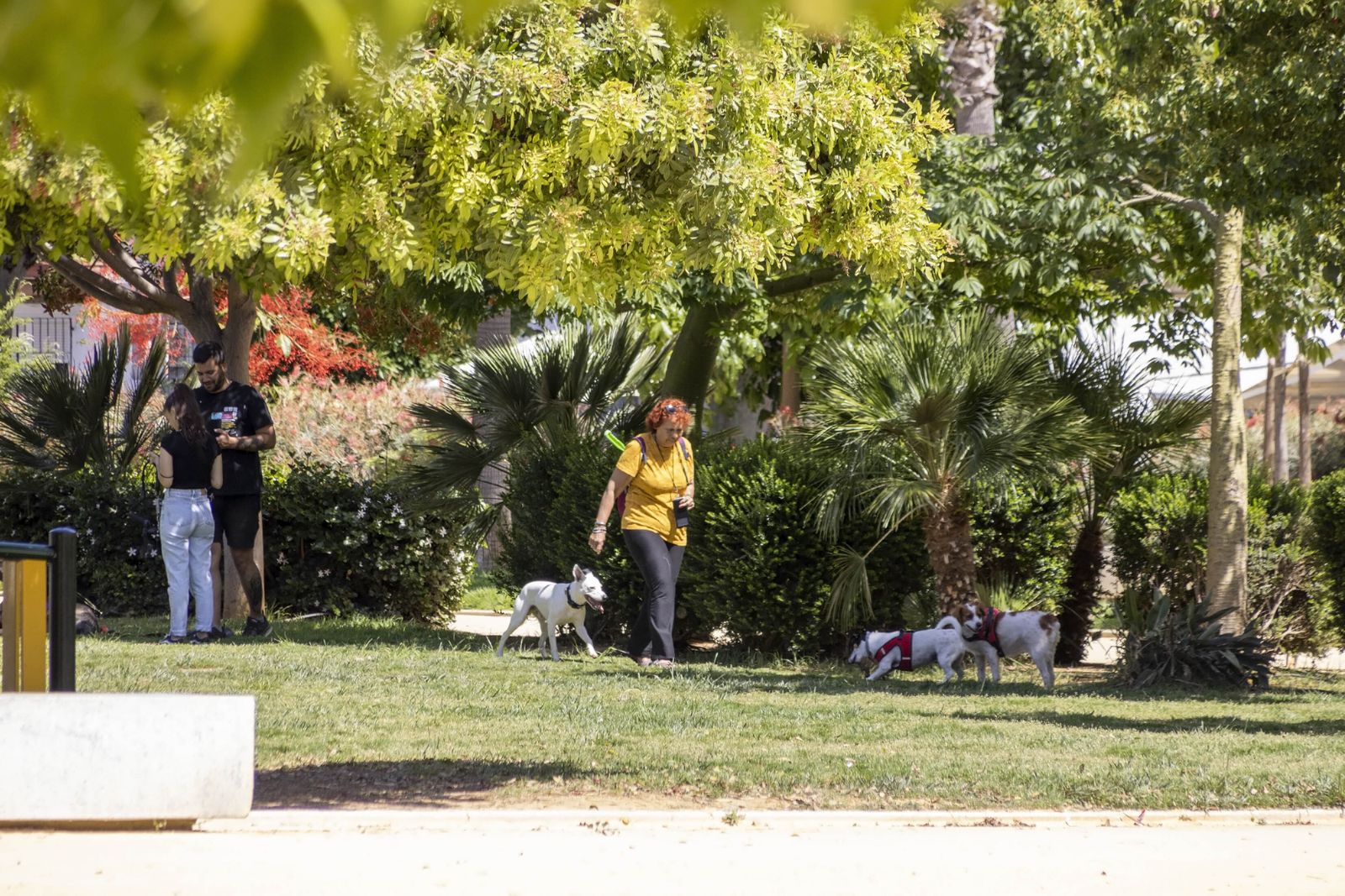 Imágenes del día 4 de mayo en Huelva