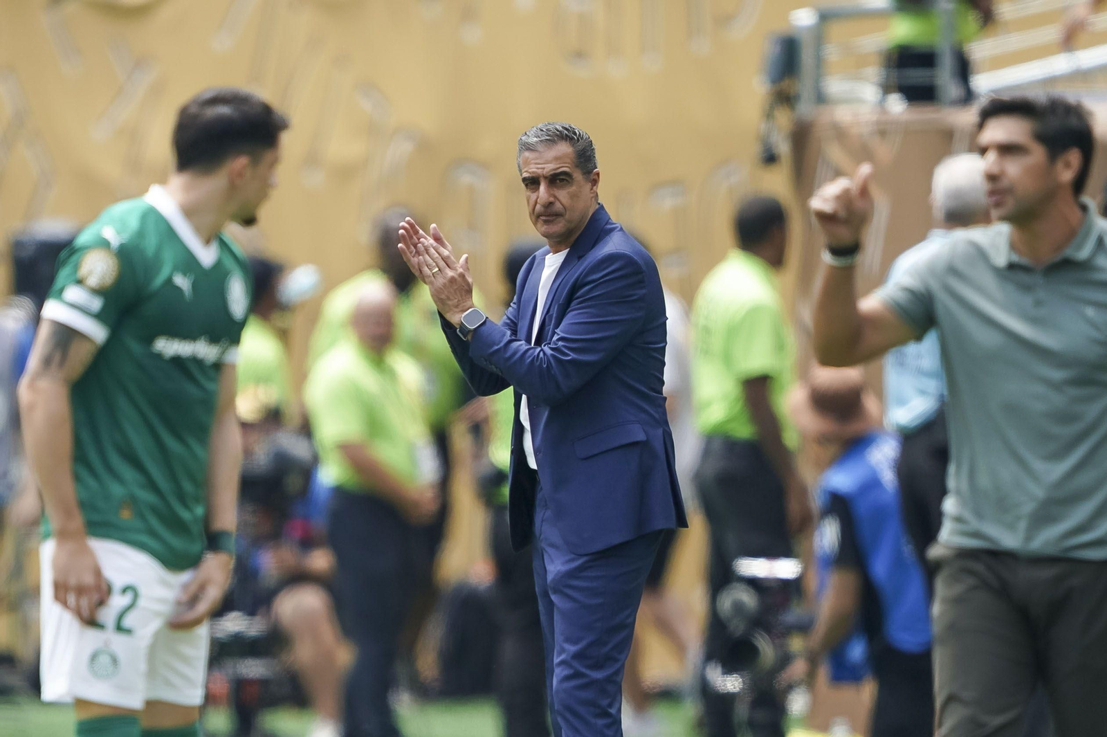 Palmeiras-Botafogo (59).jpg