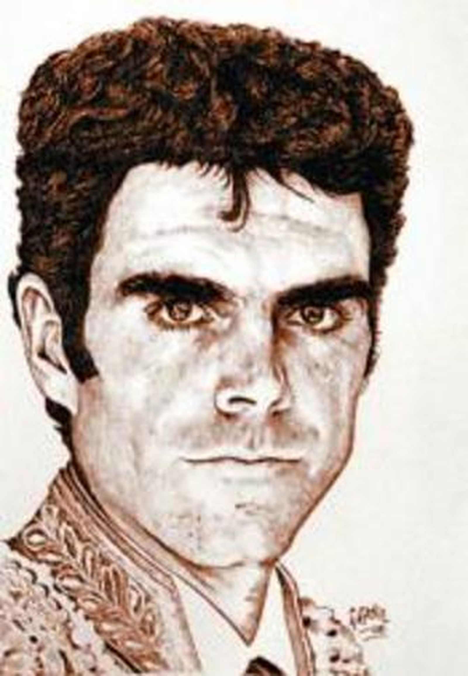 José Tomás según Francisco Arniz.