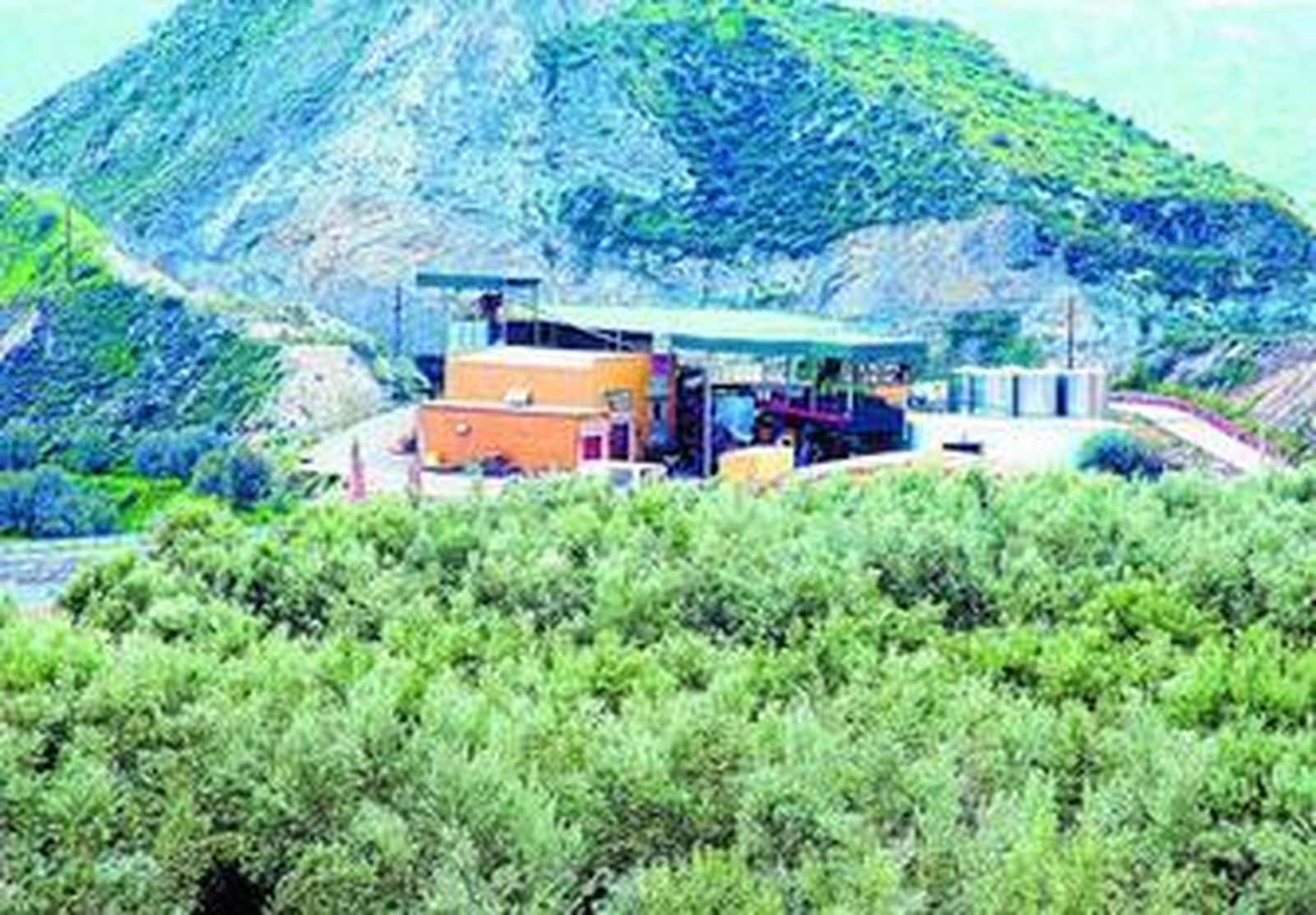 El mejor oro líquido para dar un toque de distinción en la mesaAlmazara de Canjáyar