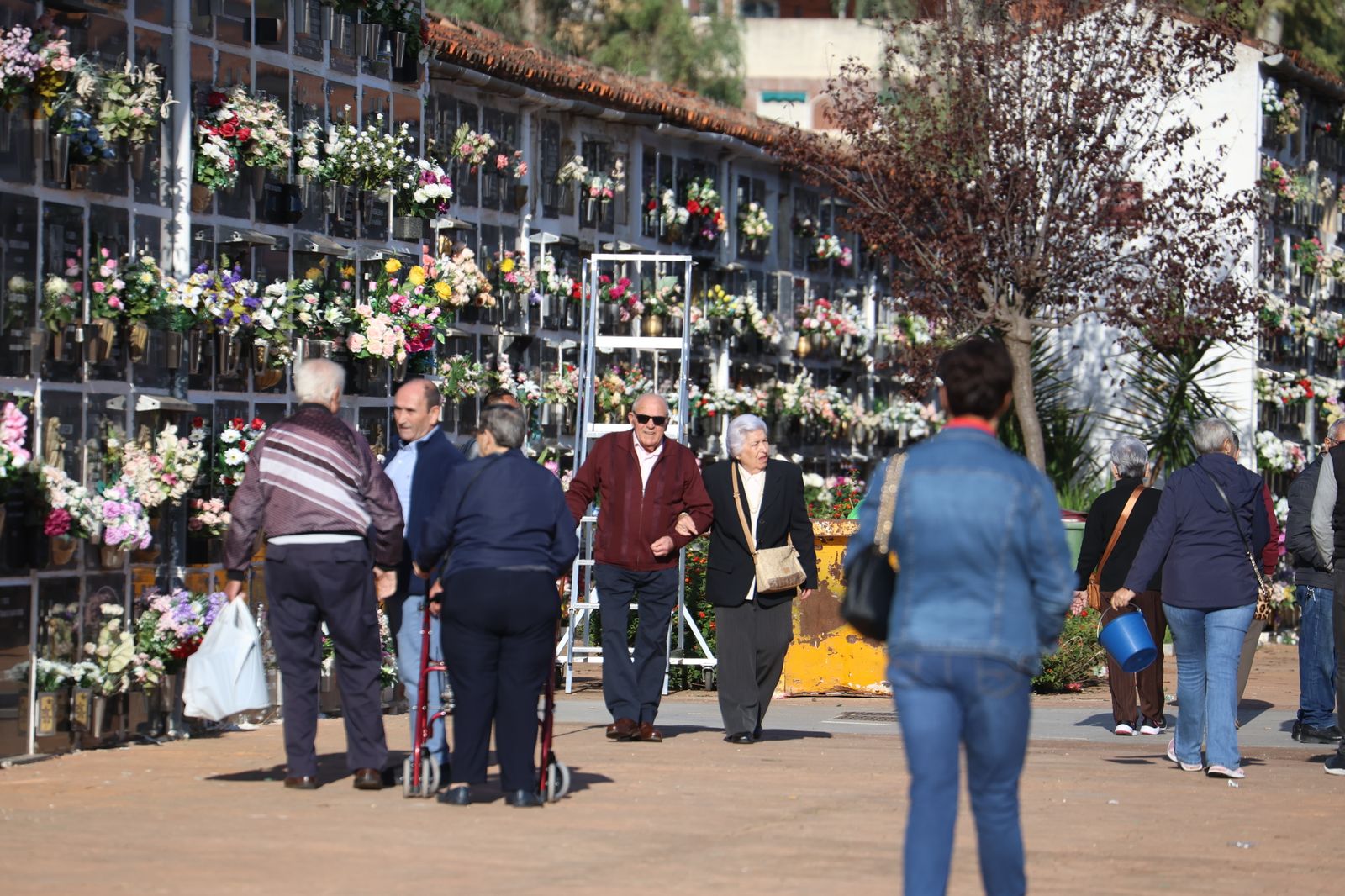 Las imágenes del día de Todos los Santos en el cementerio de San Rafael de Córdoba