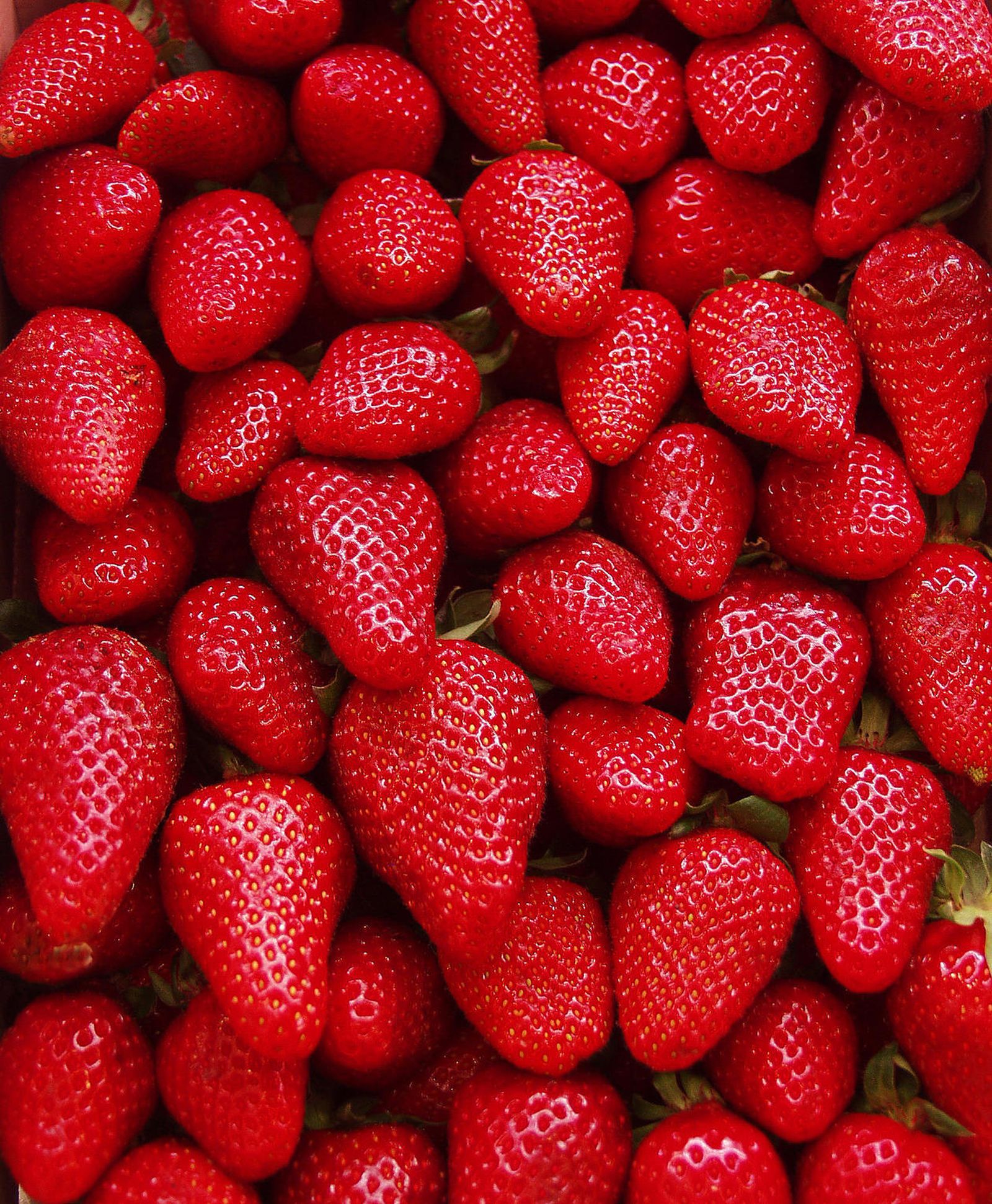 ¿Sabes qué país extranjero es el que más frutos rojos de Huelva consume?