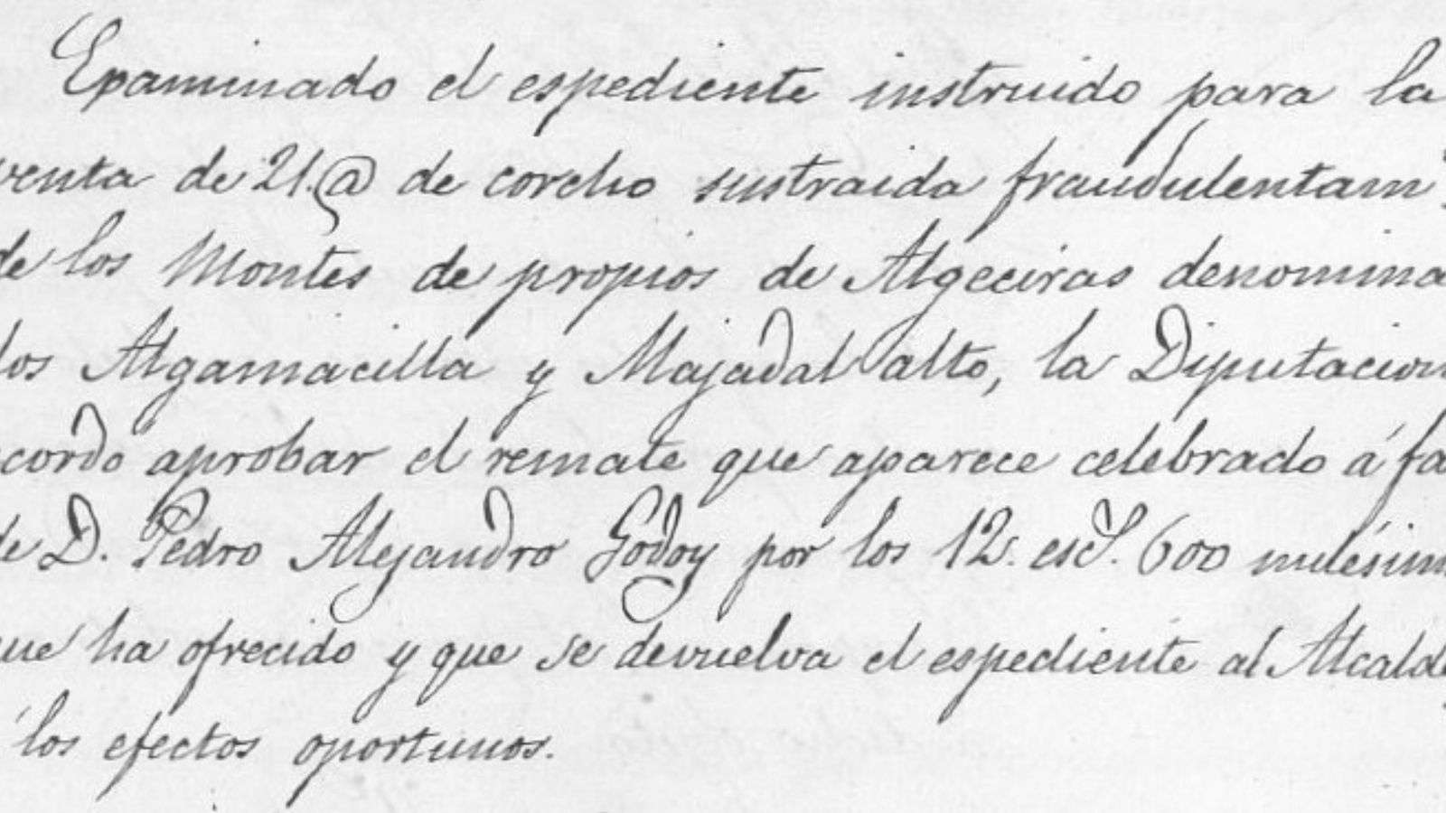 Ventiuna arrobas de corcho fueron sustraidas de los montes de propios de Algeciras.