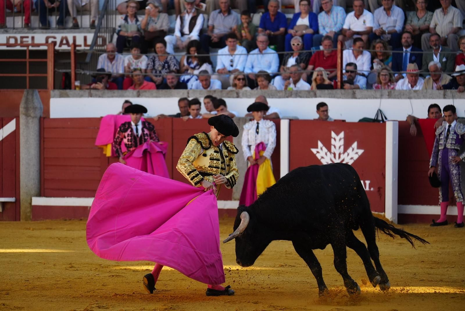 Las fotos del triunfo de Manuel Quintana en la feria taurina de Pozoblanco
