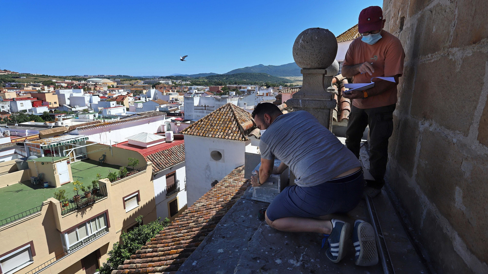 Anillamiento de cernícalos primilla del grupo Tumbabuey en Los Barrios