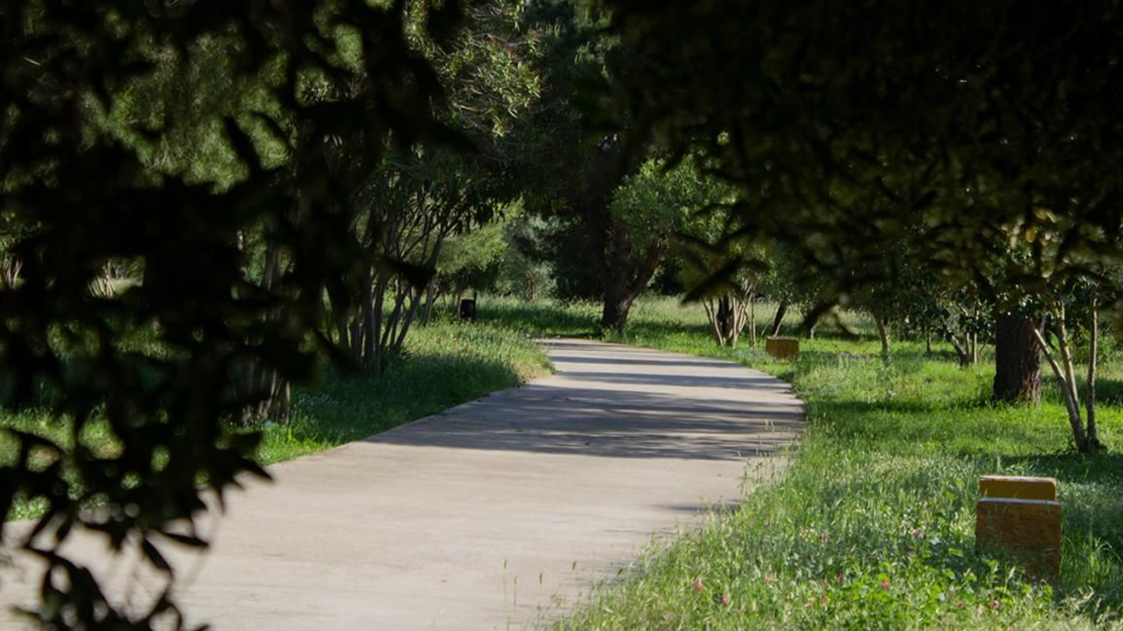Fotos del parque municipal El Torrejón