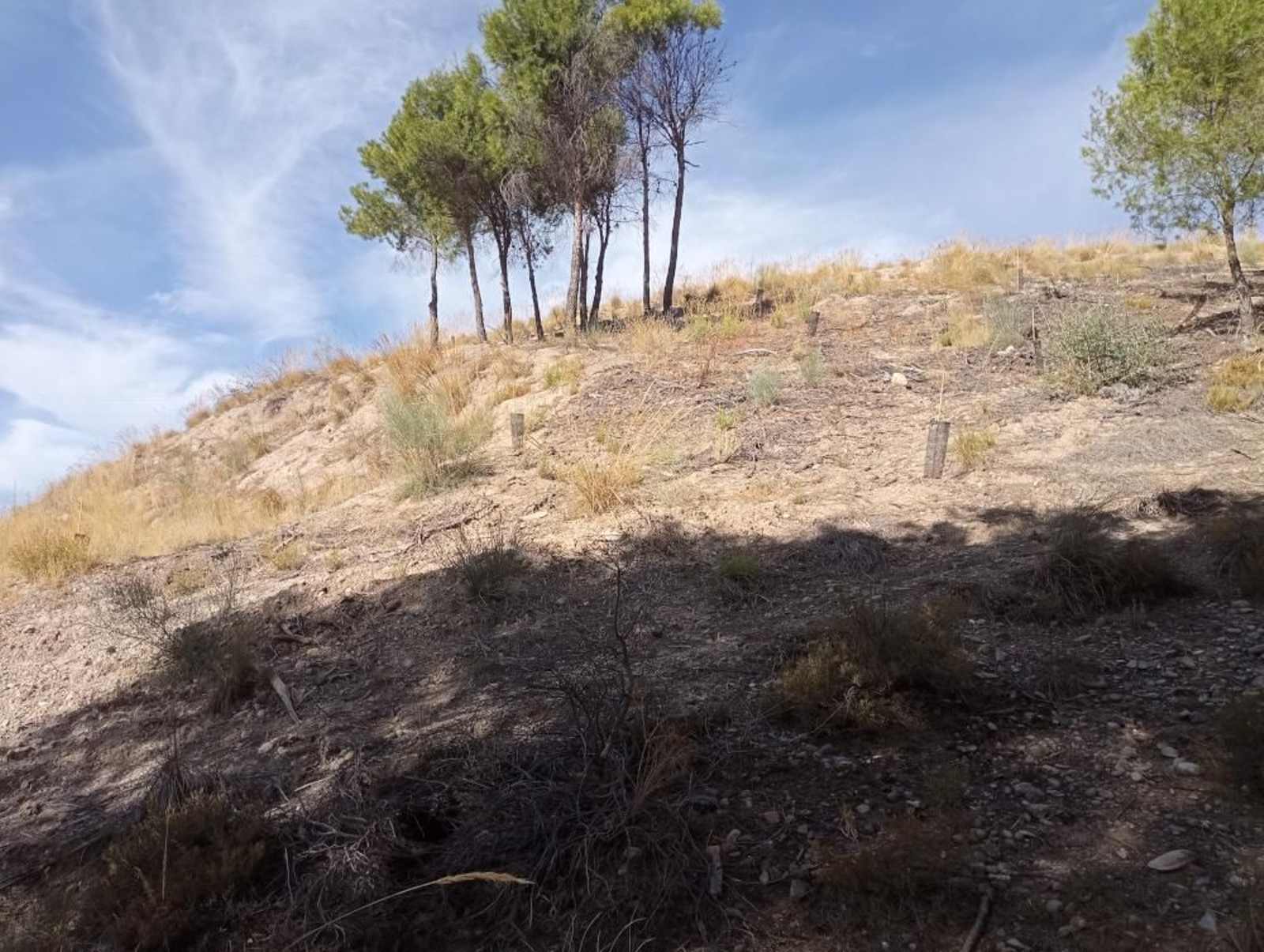 Situación actual del Cerro de San Miguel.