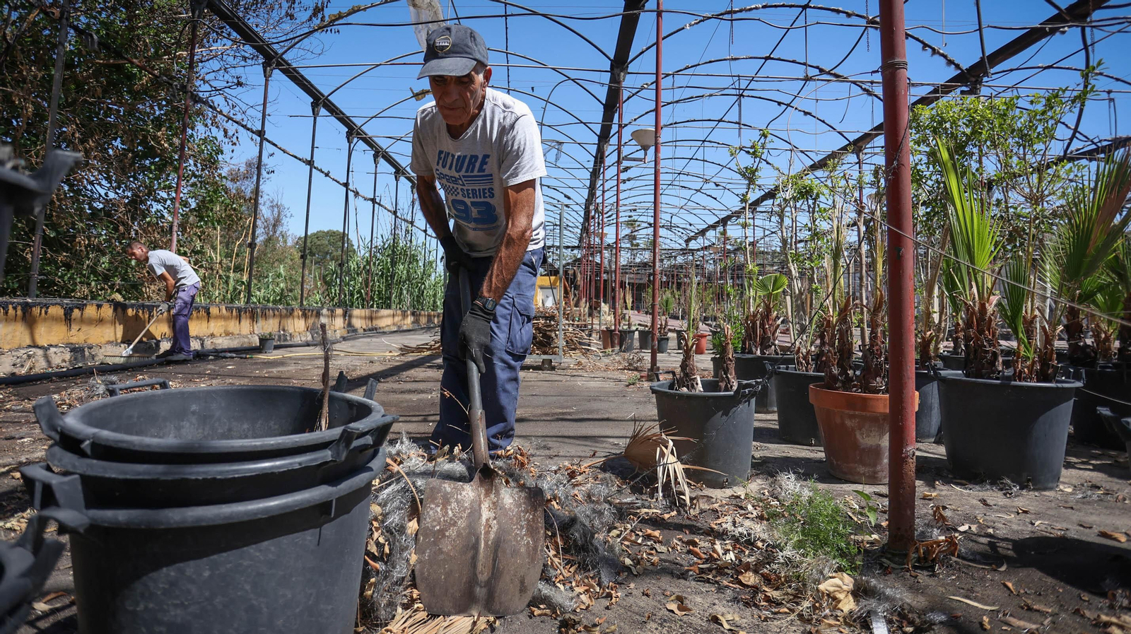 Así son las labores de recuperación de Viveros Olmedo, más de un mes después del incendio que arrasó el negocio