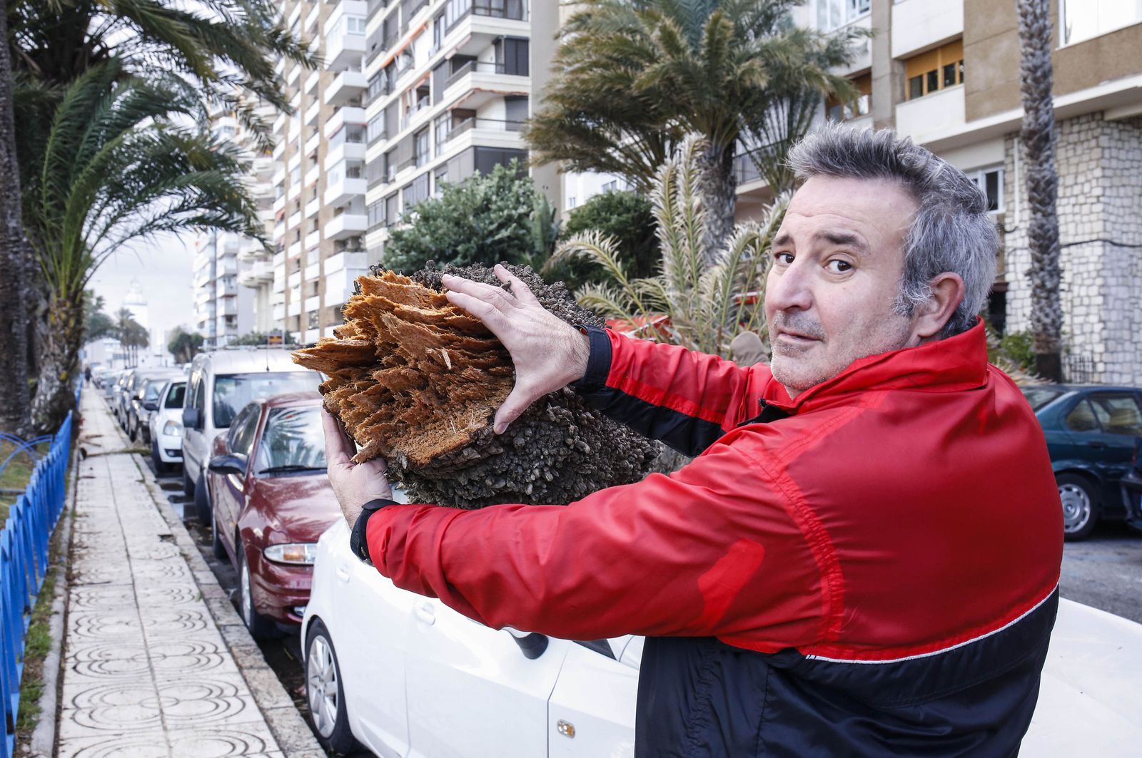 El temporal en Málaga, en imágenes
